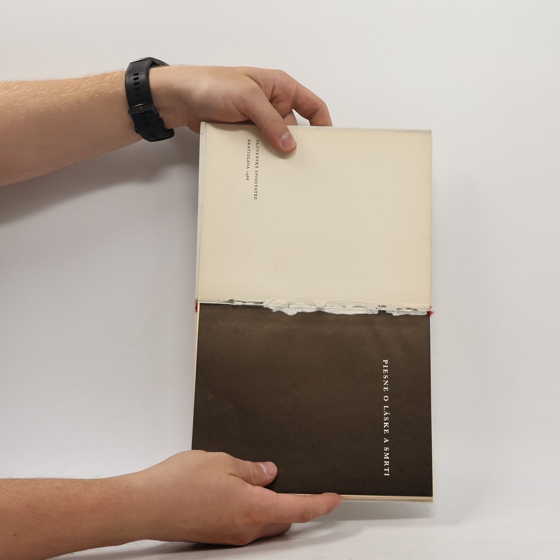 Rainer Maria Rilke Piesne o láske a smrti