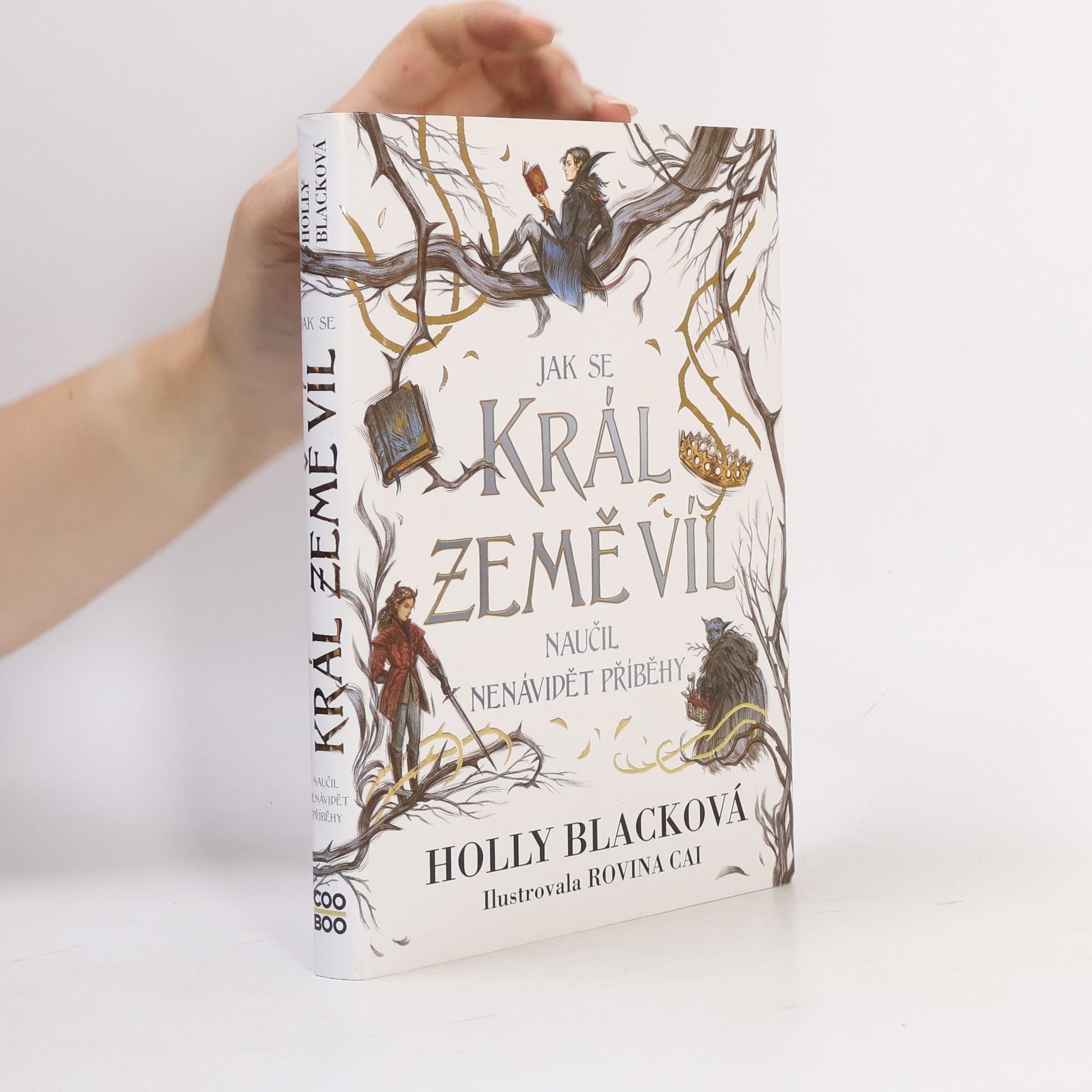 Holly Black Jak se král Země víl naučil nenávidět příběhy