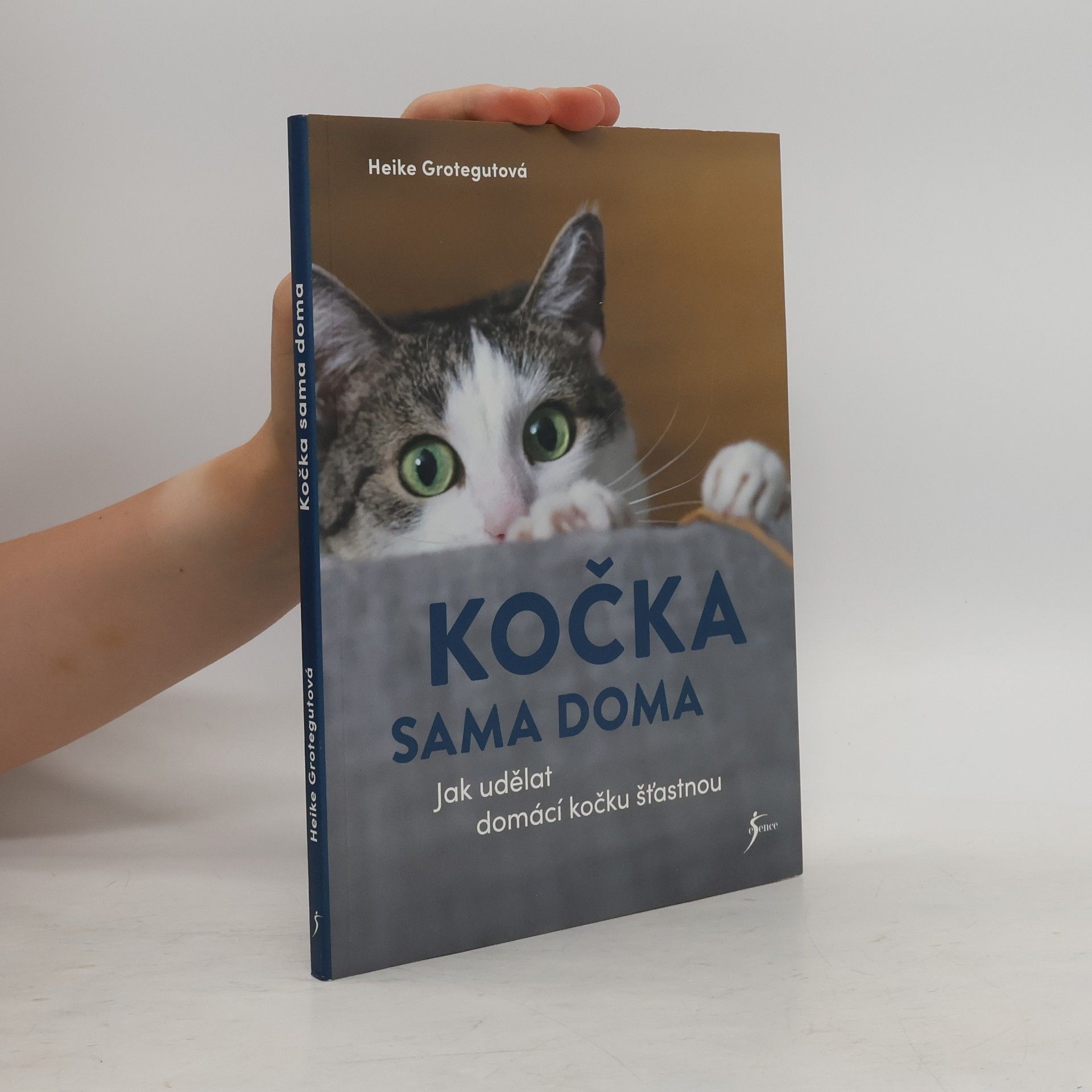 Kočka sama doma