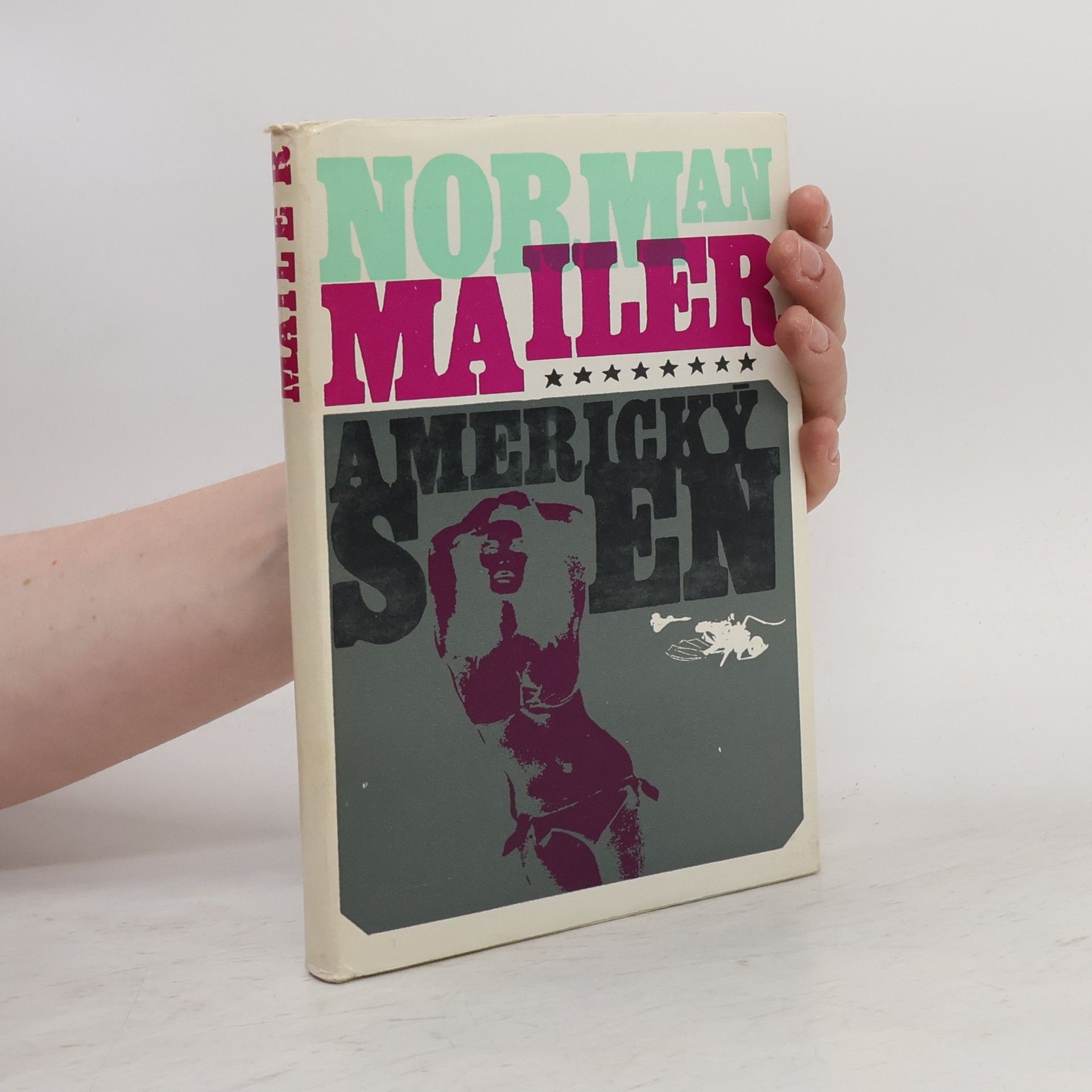 Norman Mailer Americký sen