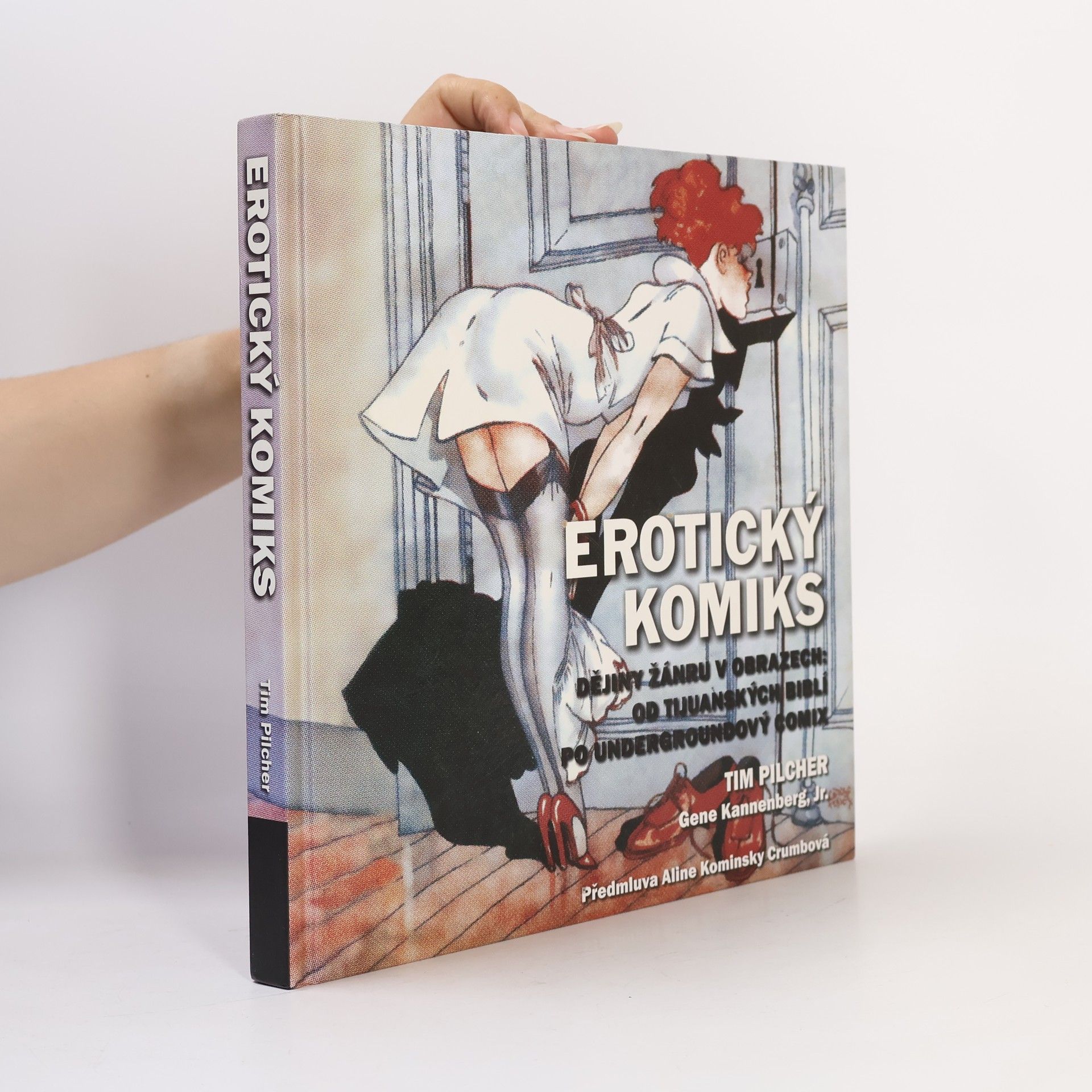 Tim Pilcher Erotický komiks: Dějiny žánru v obrazech