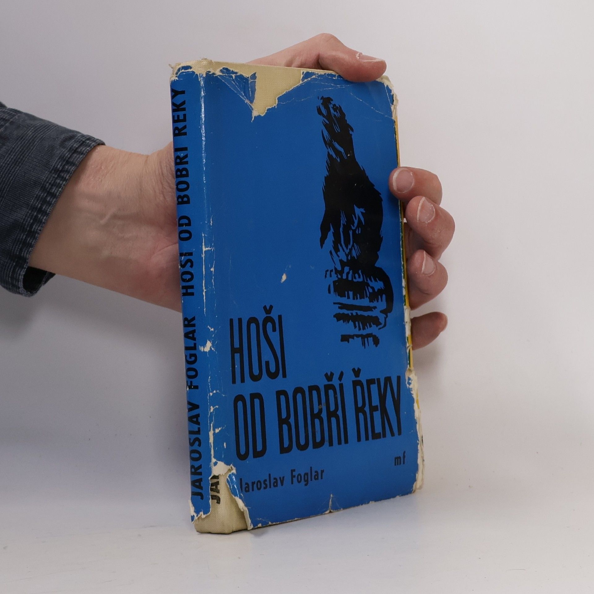 Jaroslav Foglar Hoši od Bobří řeky