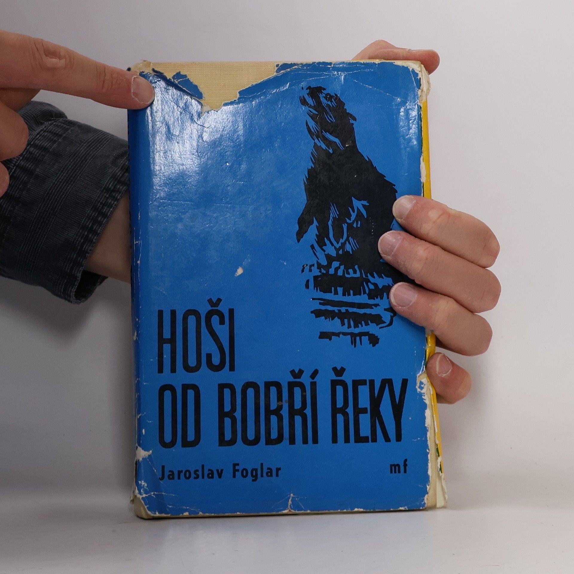 Jaroslav Foglar Hoši od Bobří řeky