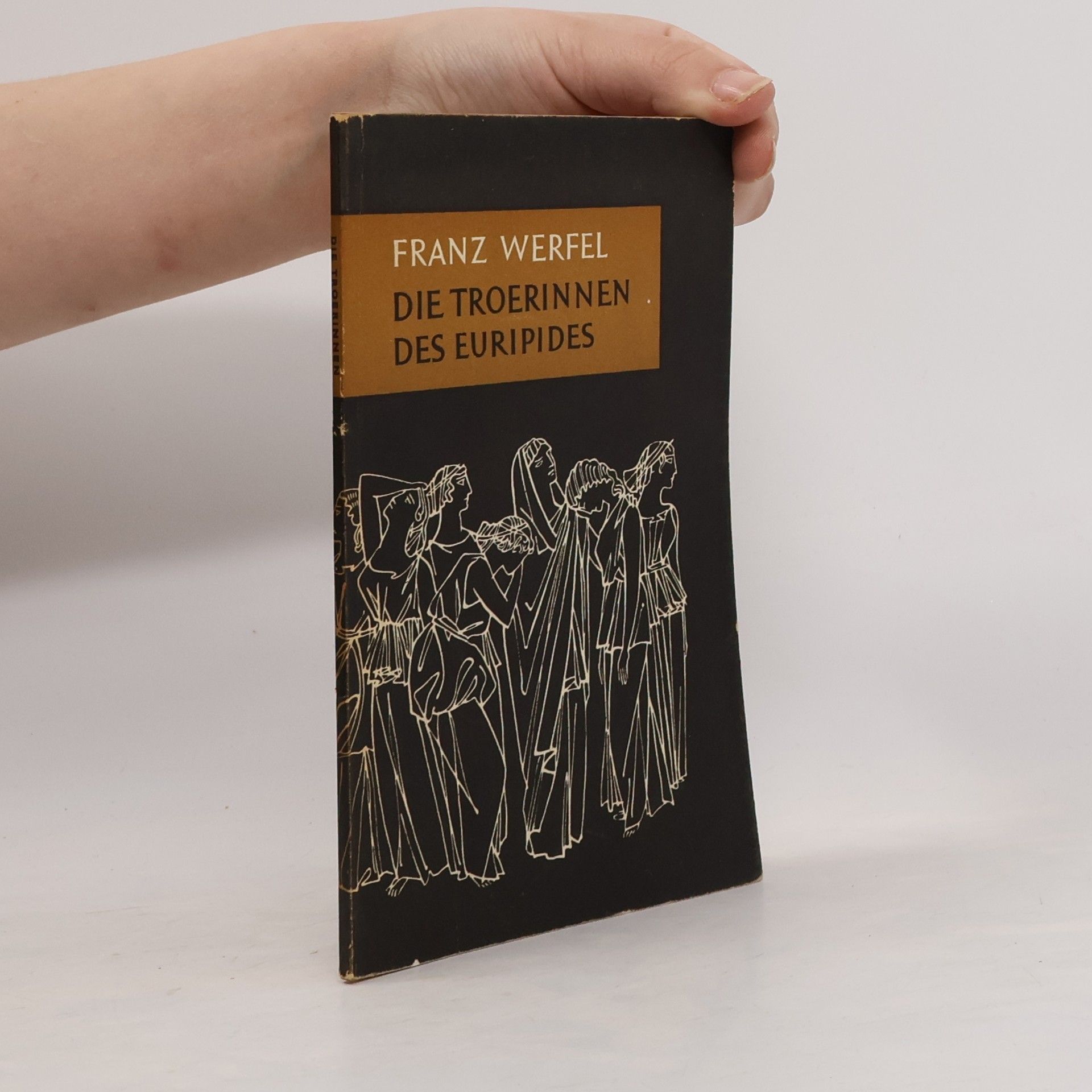 Die Troerinnen des Euripides