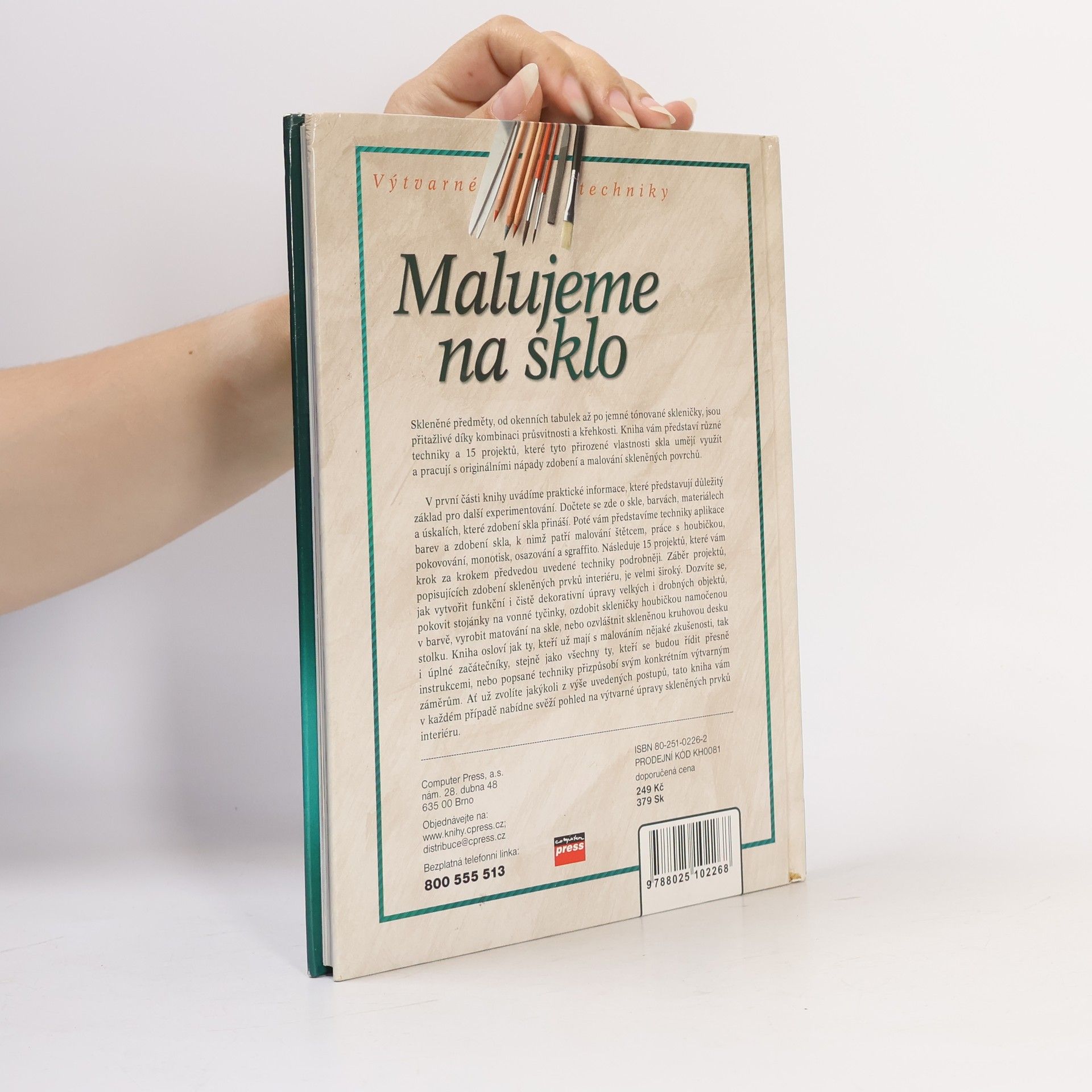 Penny Boylan Malujeme na sklo