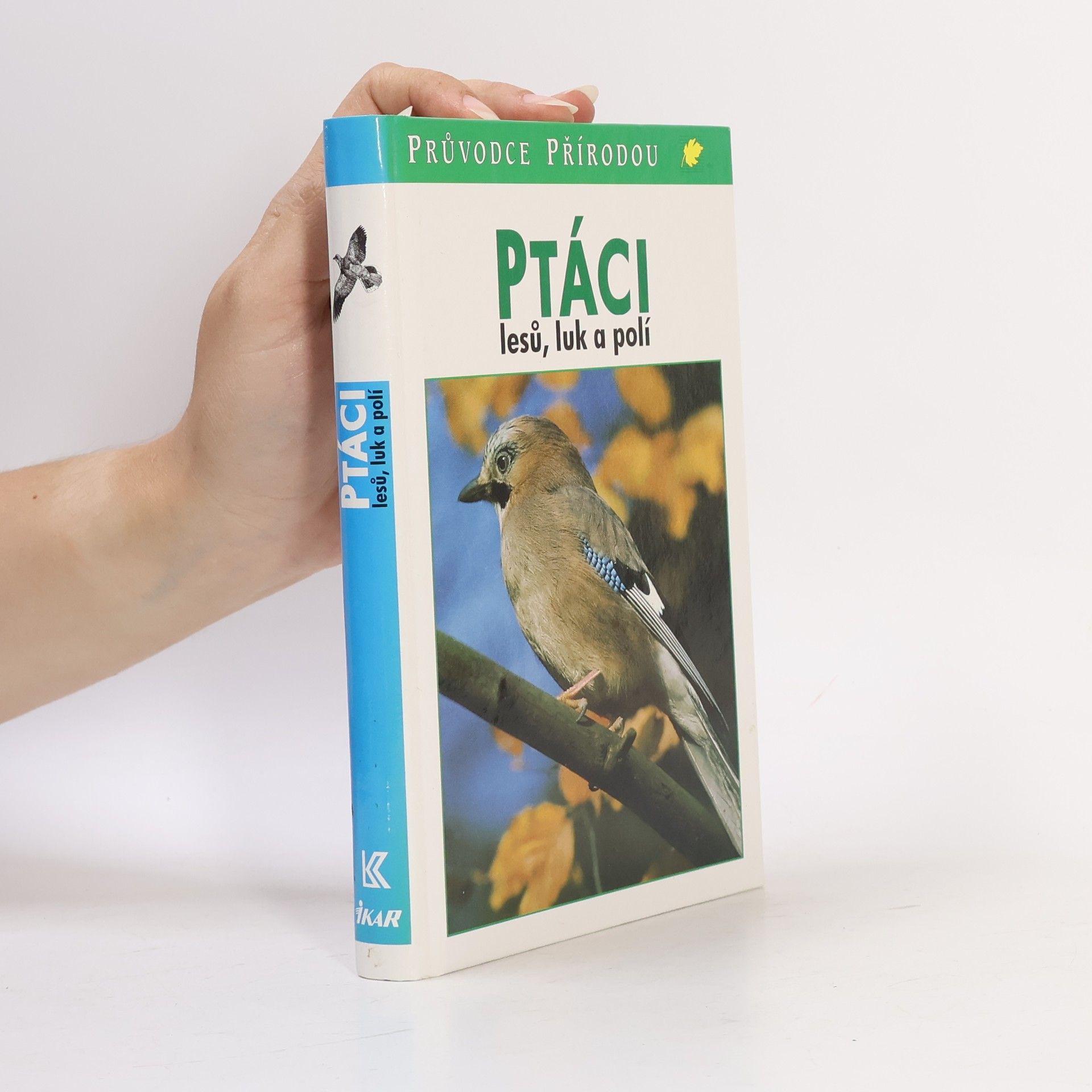 Frieder Sauer Ptáci lesů, luk a polí