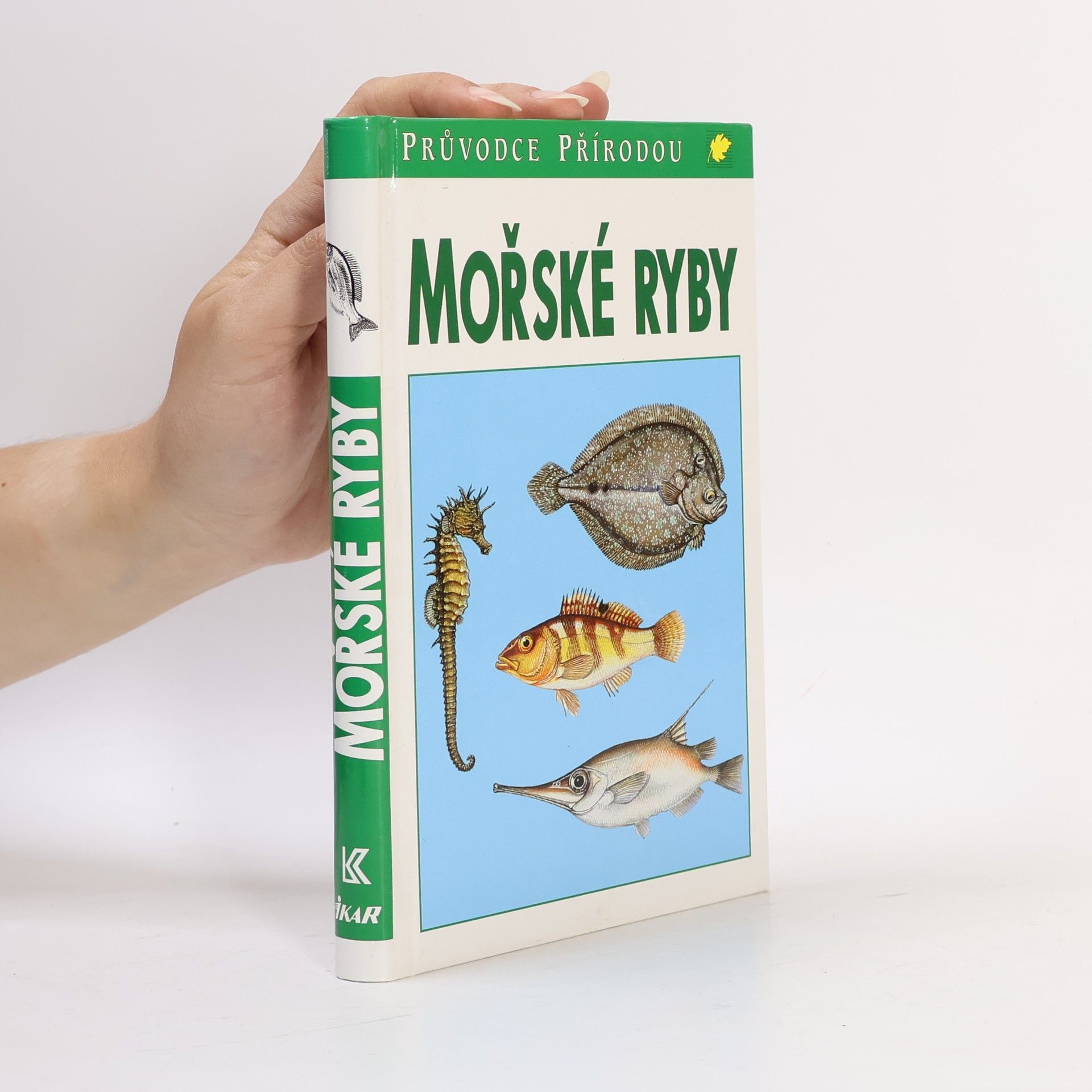 Frieder Sauer Mořské ryby v evropských vodách