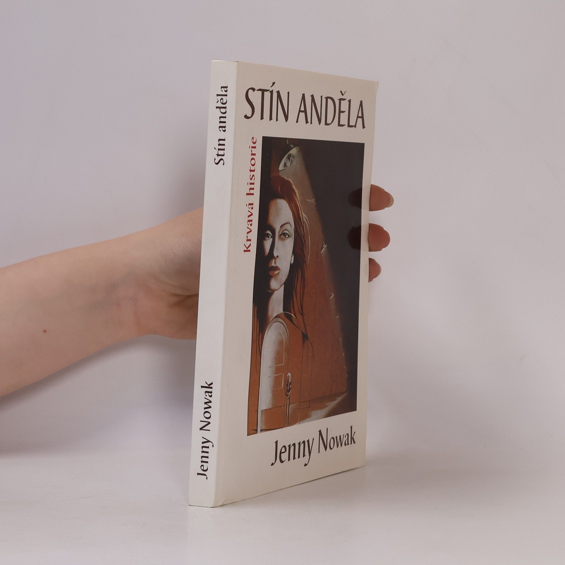 Stín anděla