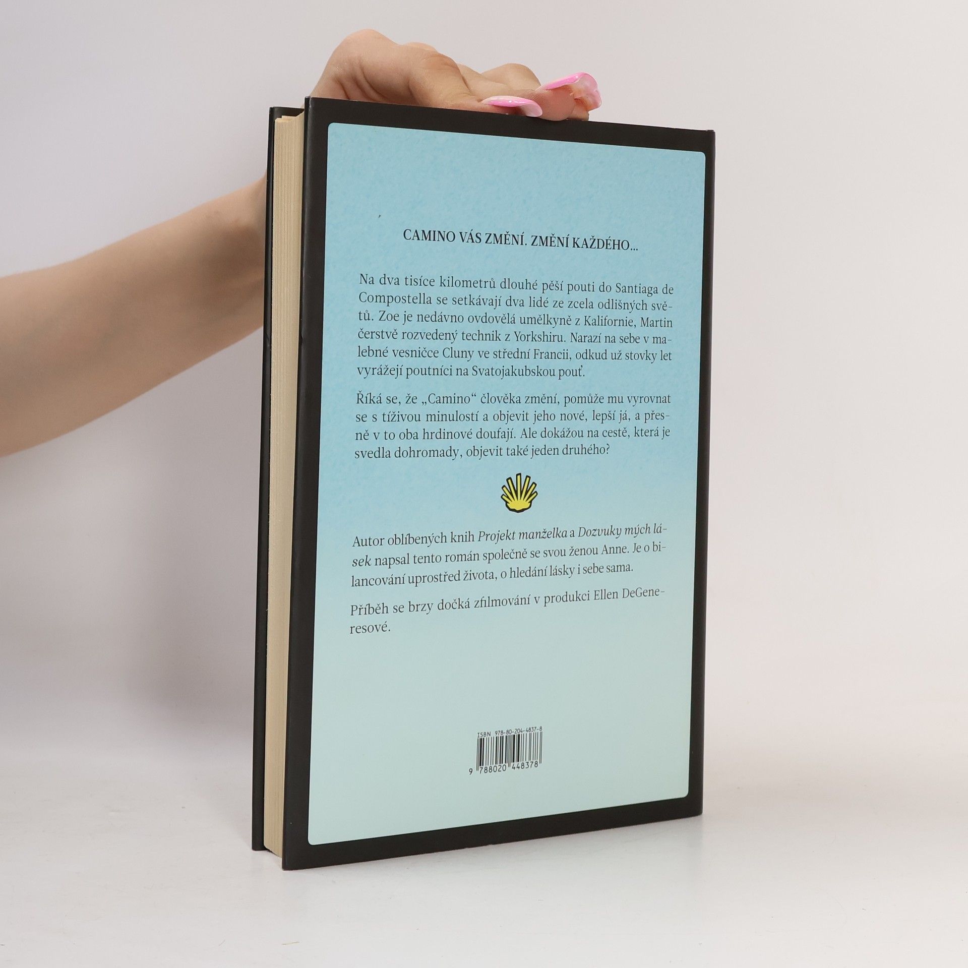 Graeme Simsion Pár kroků vpřed