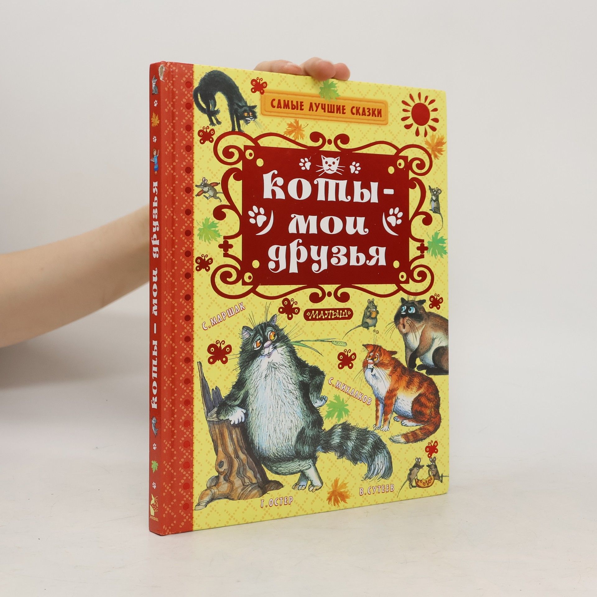 Коты – мои друзья
