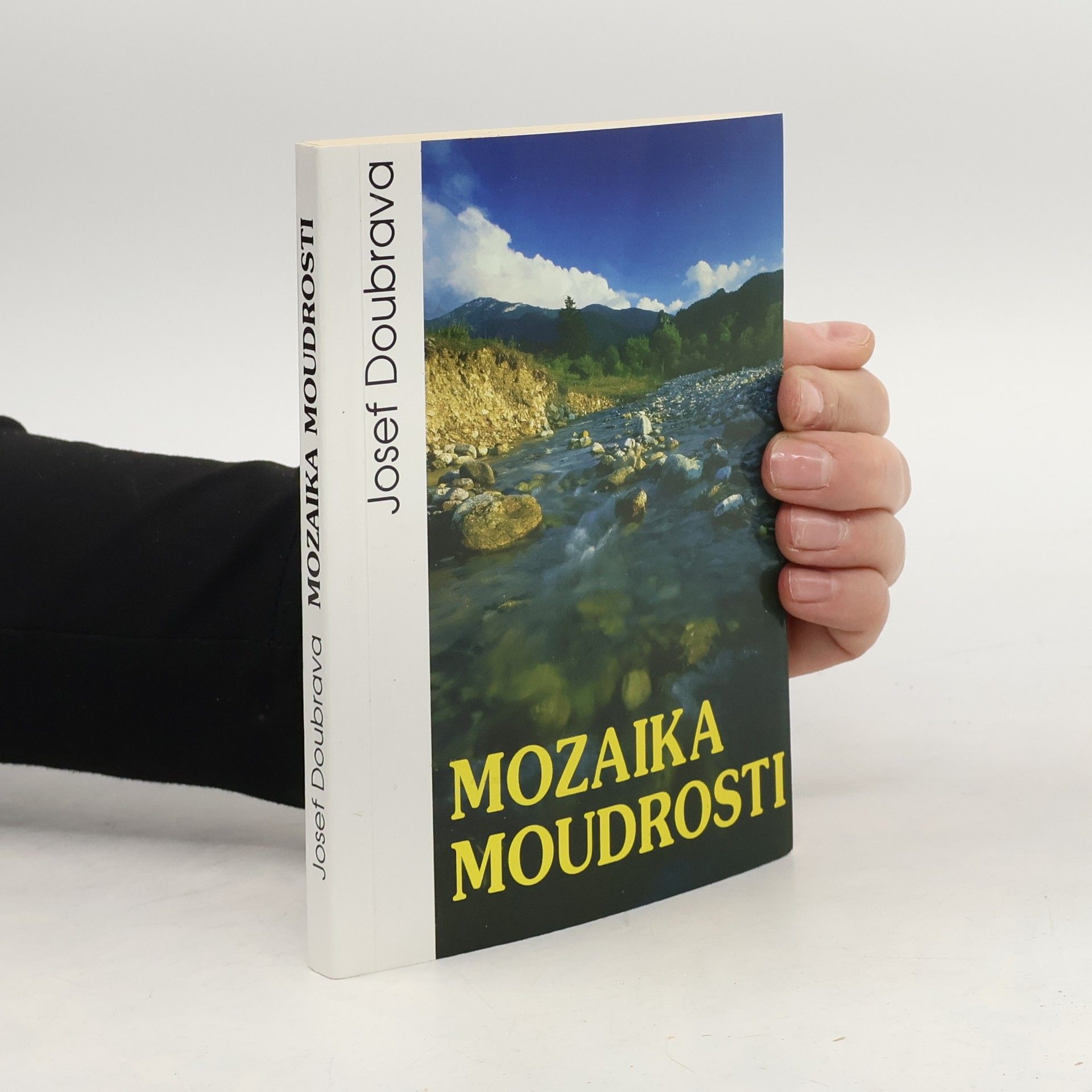 Mozaika moudrosti