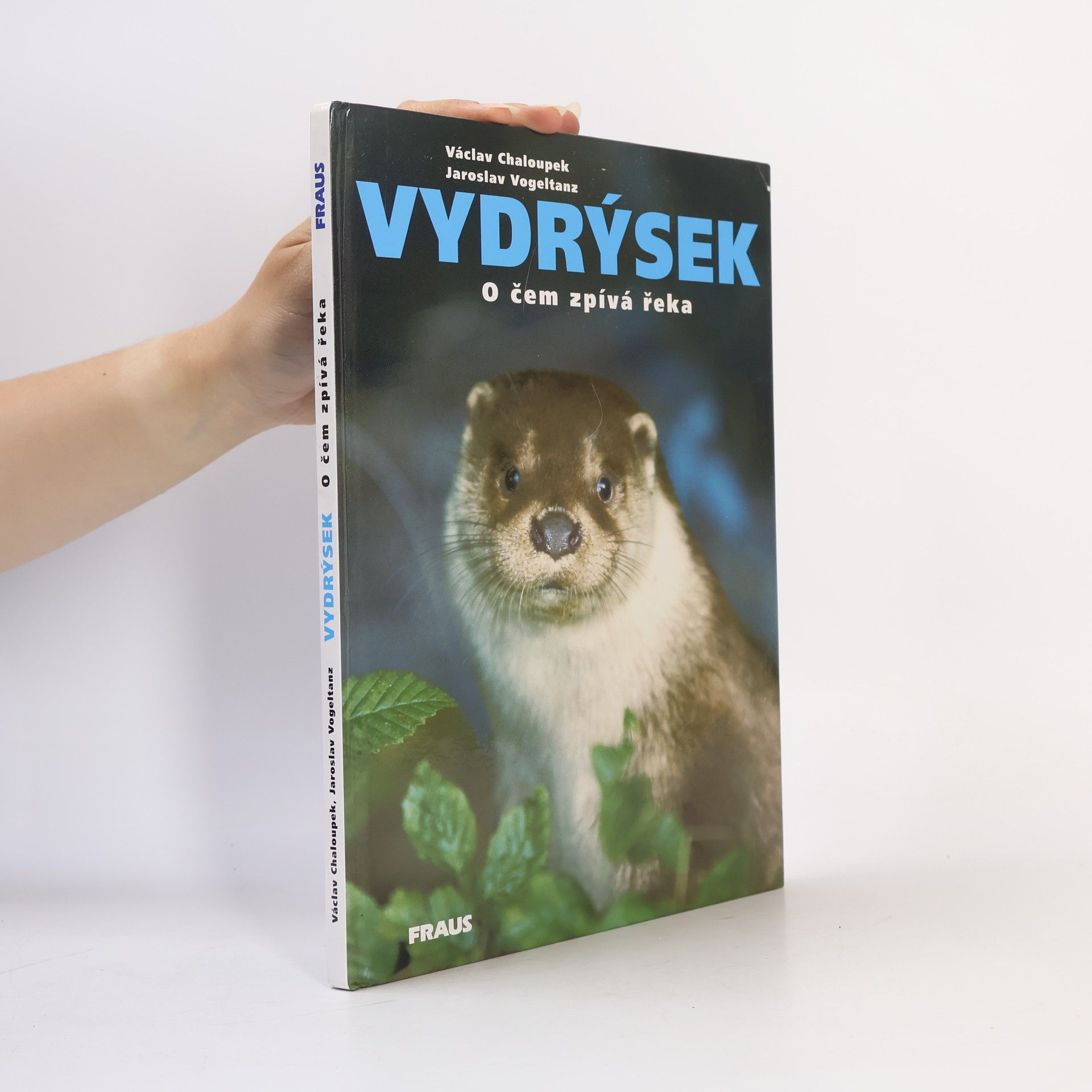 Václav Chaloupek Vydrýsek. O čem zpívá řeka