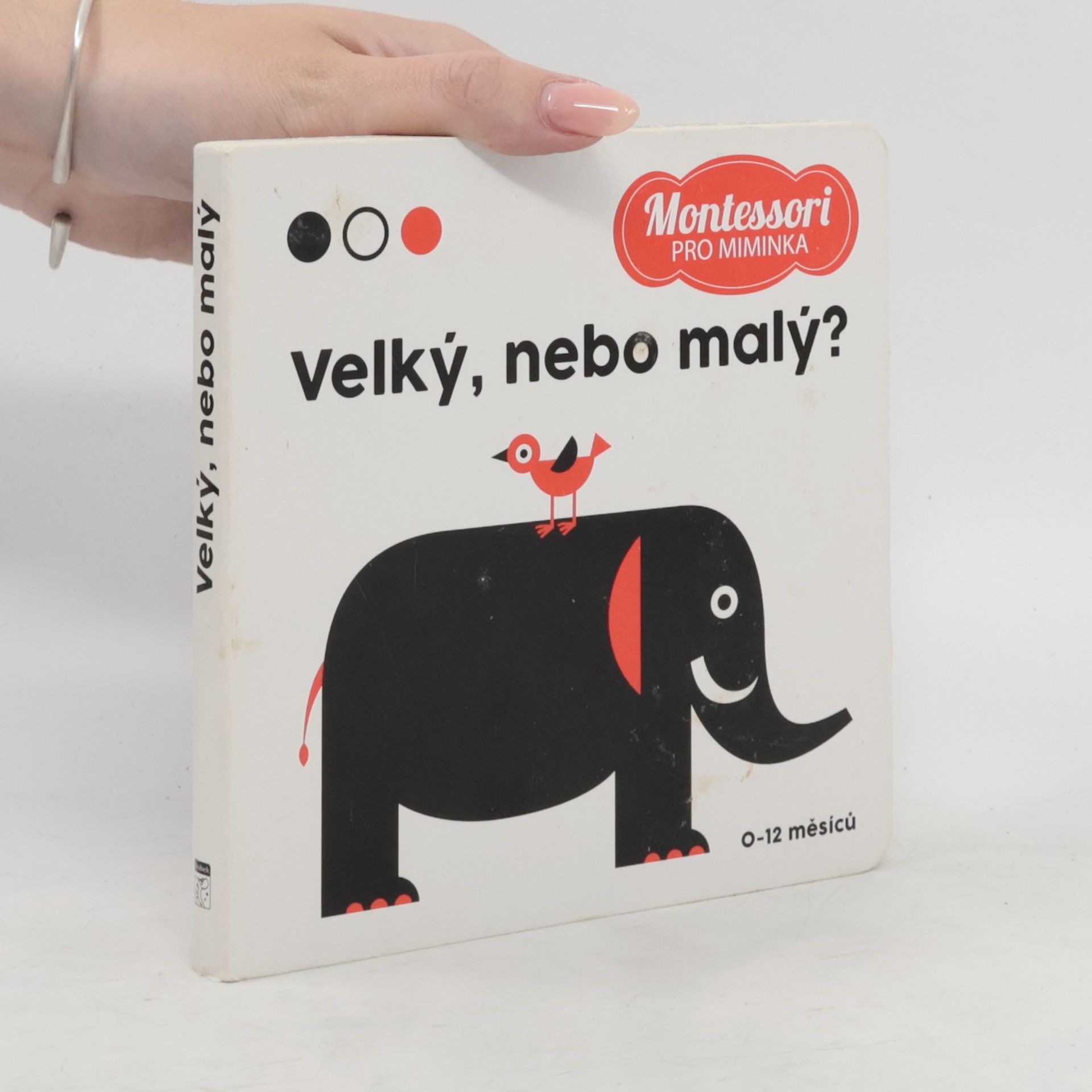 Chiara Piroddi Velký, nebo malý?