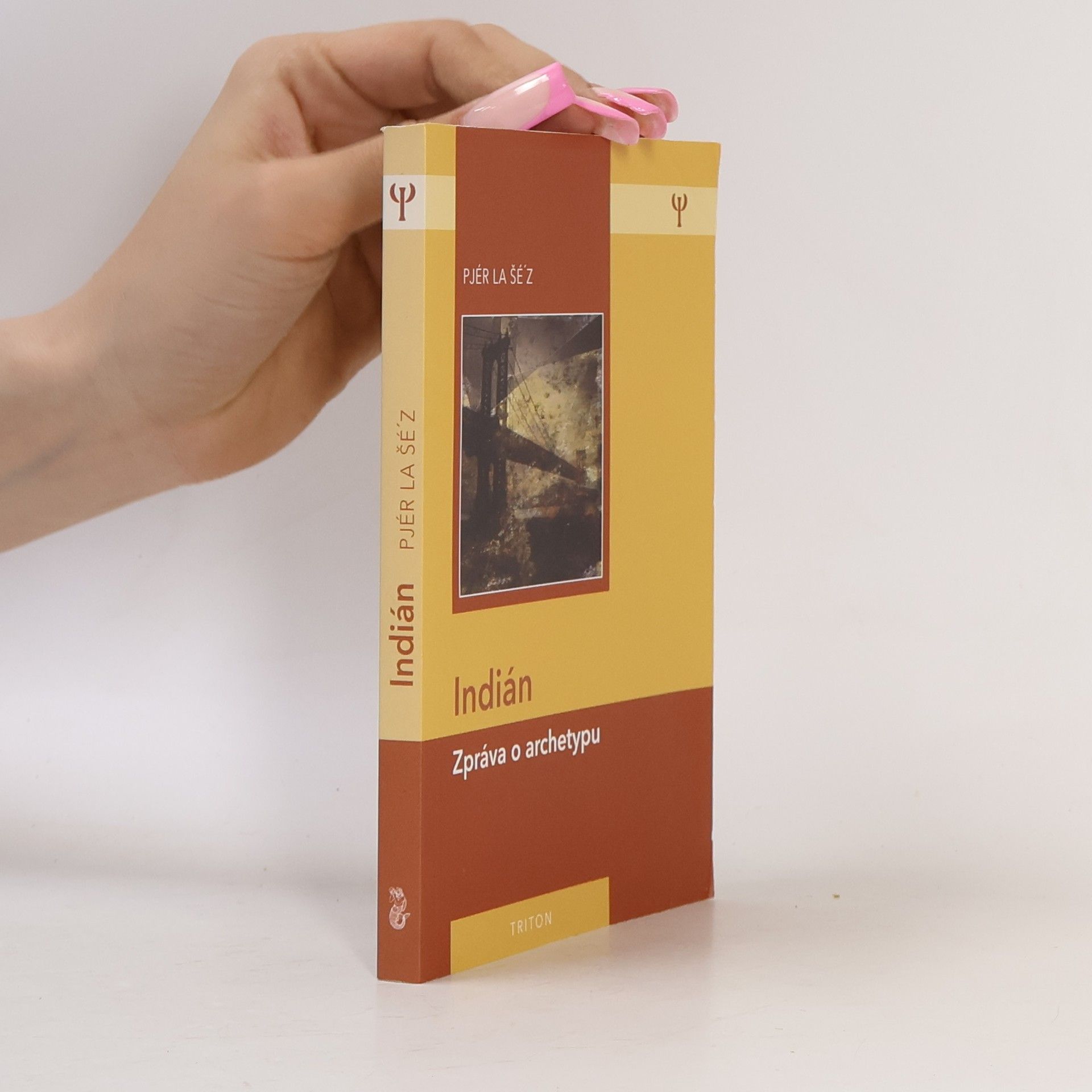Pjér la Šéz Indián: Zpráva o archetypu