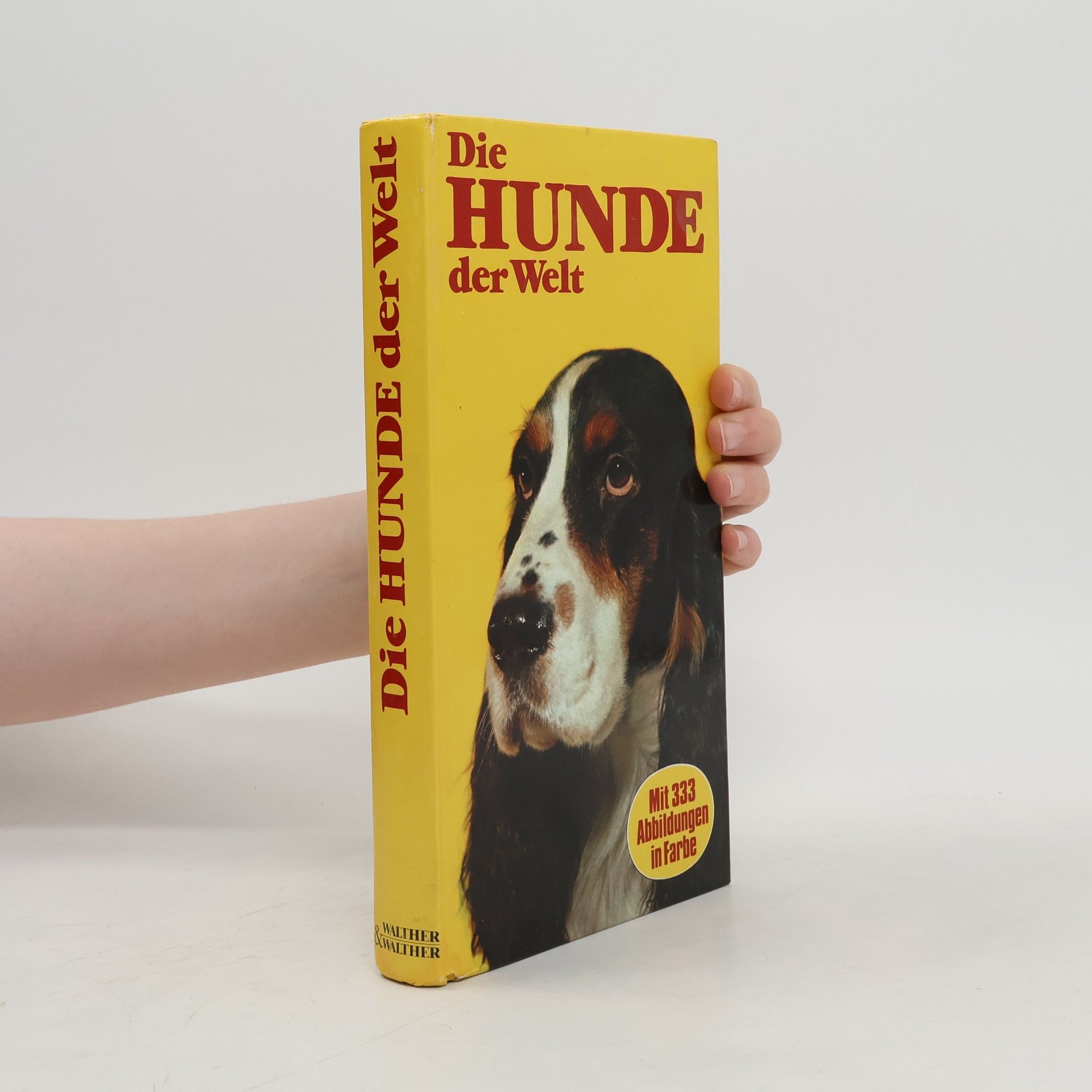 Collectif d'auteurs Die schönsten Hundegeschichten der Welt