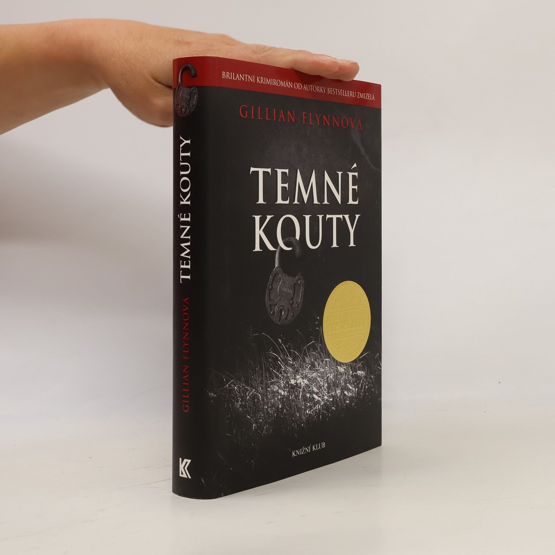 Gillian Flynn Temné kouty