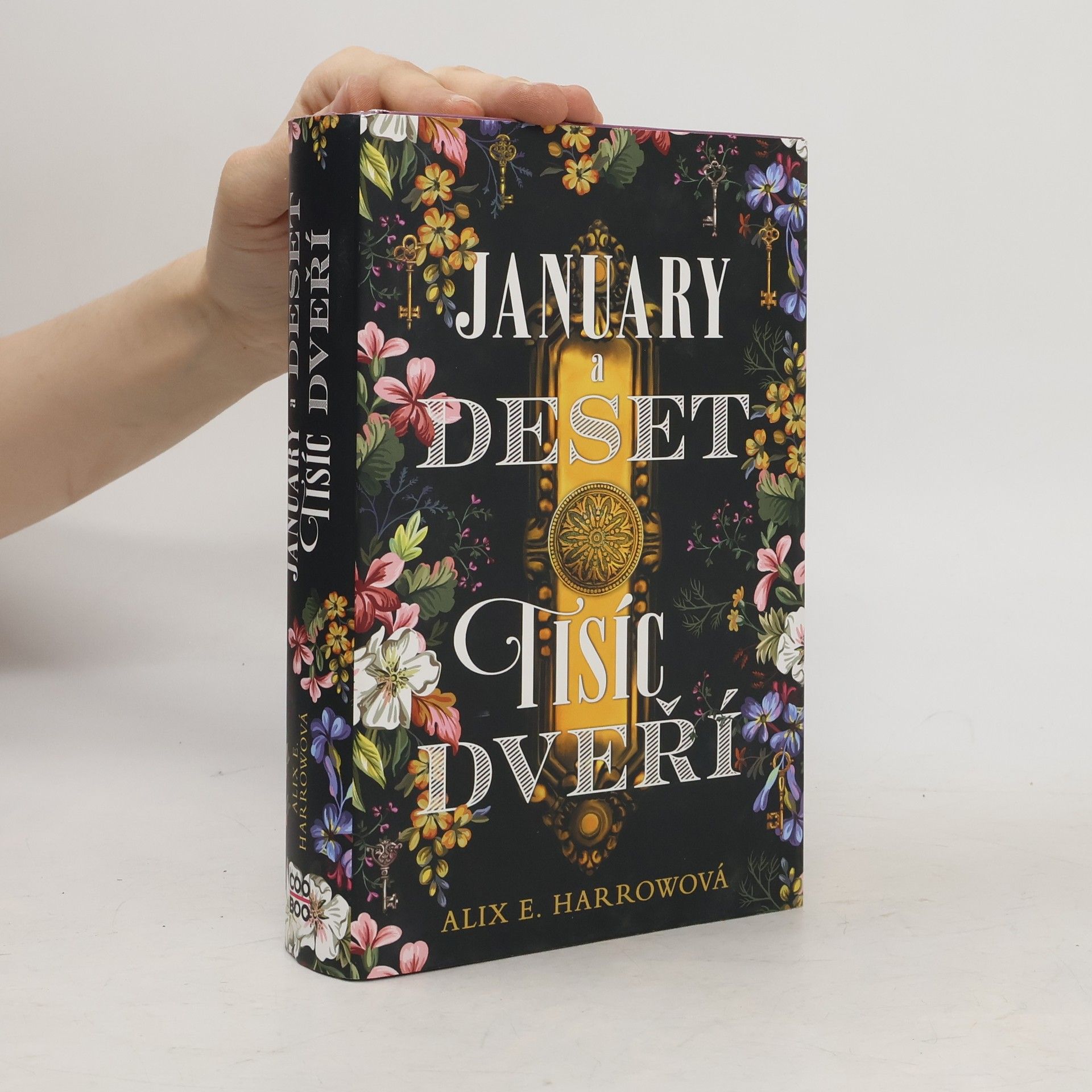 Alix E. Harrow January a Deset tisíc dveří
