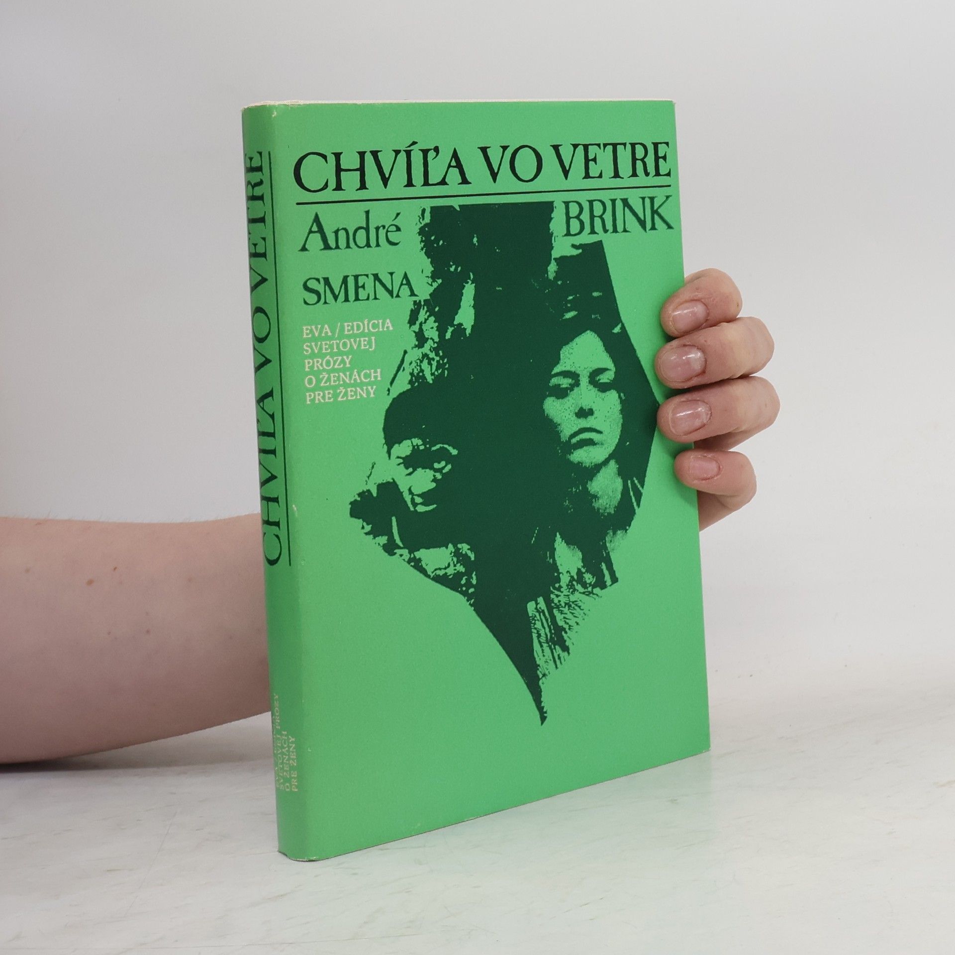 André Brink Chvíľa vo vetre