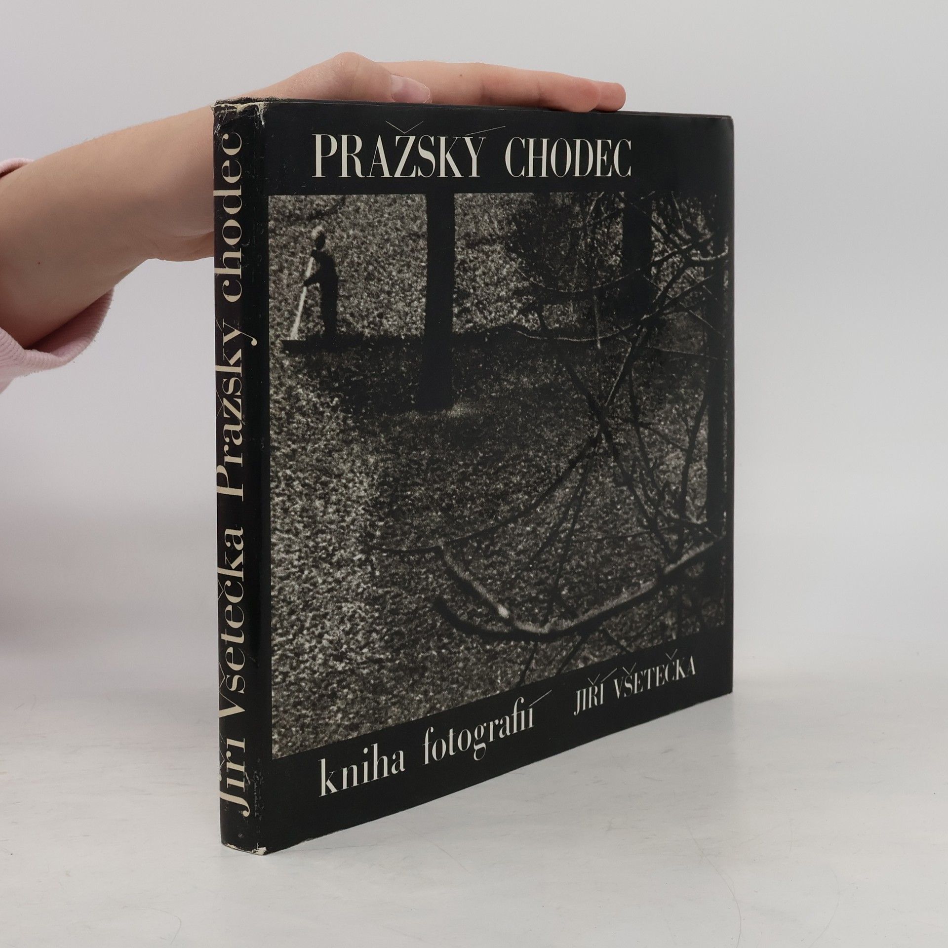 Jiří Všetečka Pražský chodec