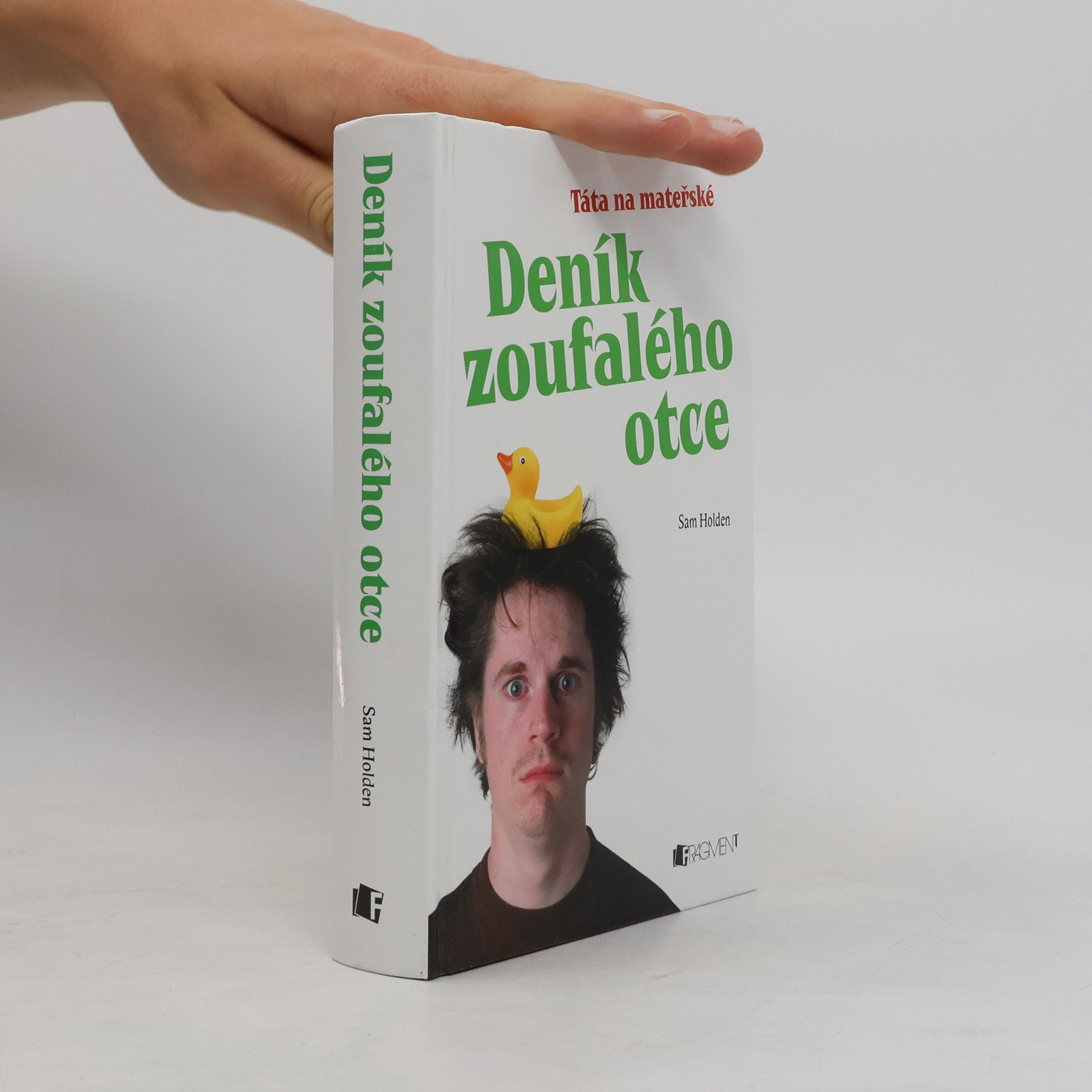 Sam Holden Deník zoufalého otce. Táta na mateřské