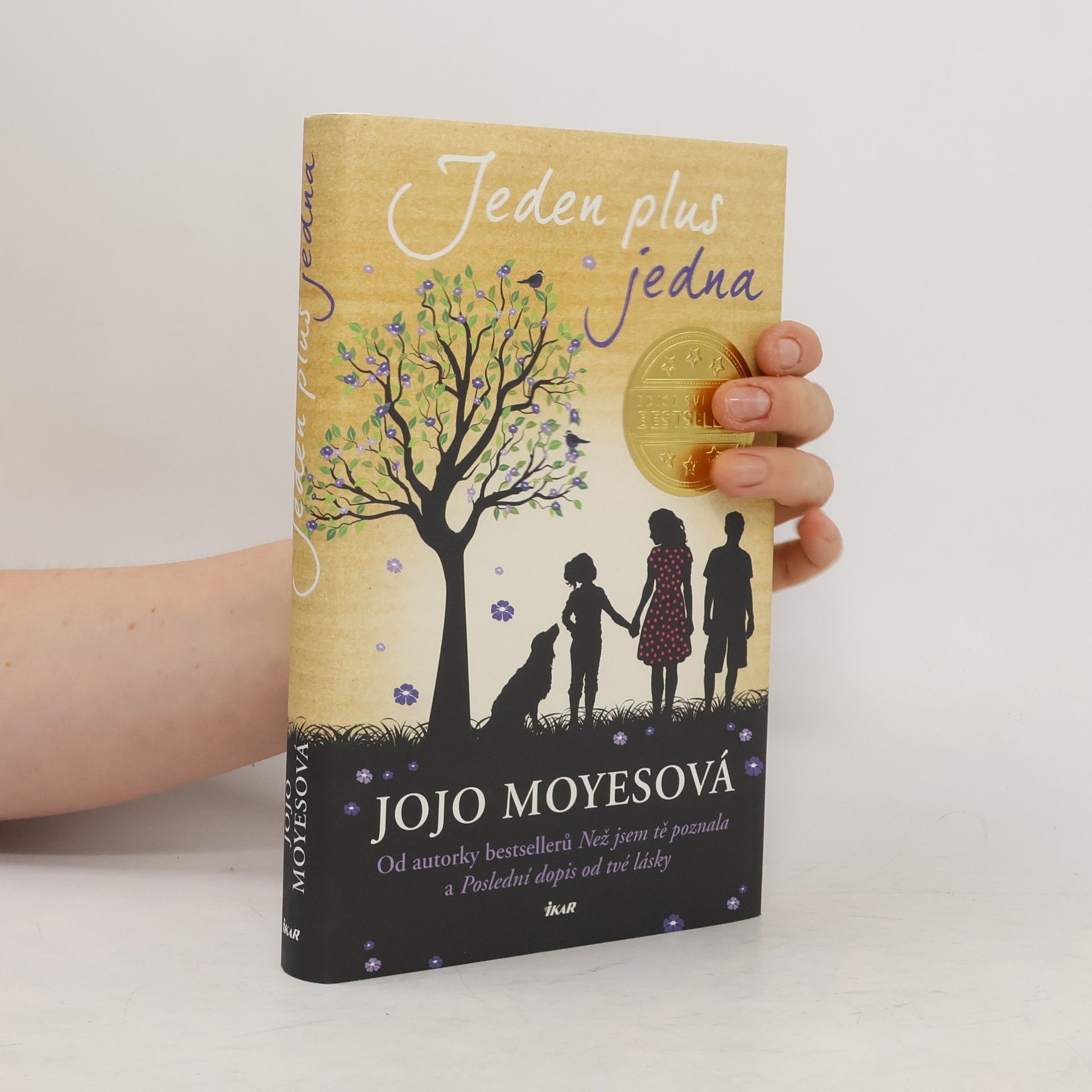 Jojo Moyes Jeden plus jedna