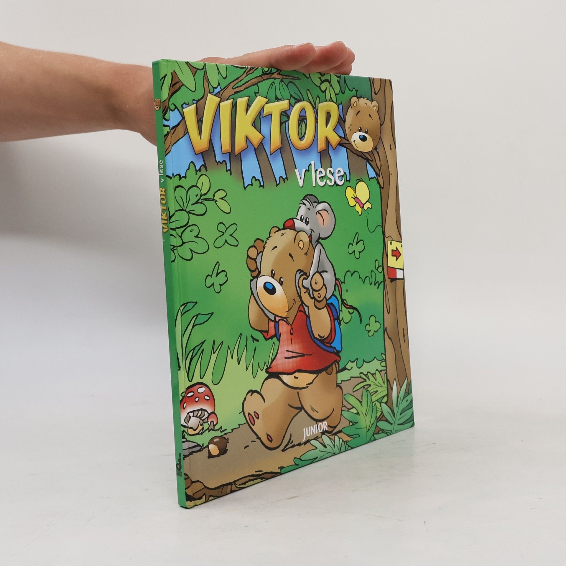 Autorenkollektiv Viktor v lese