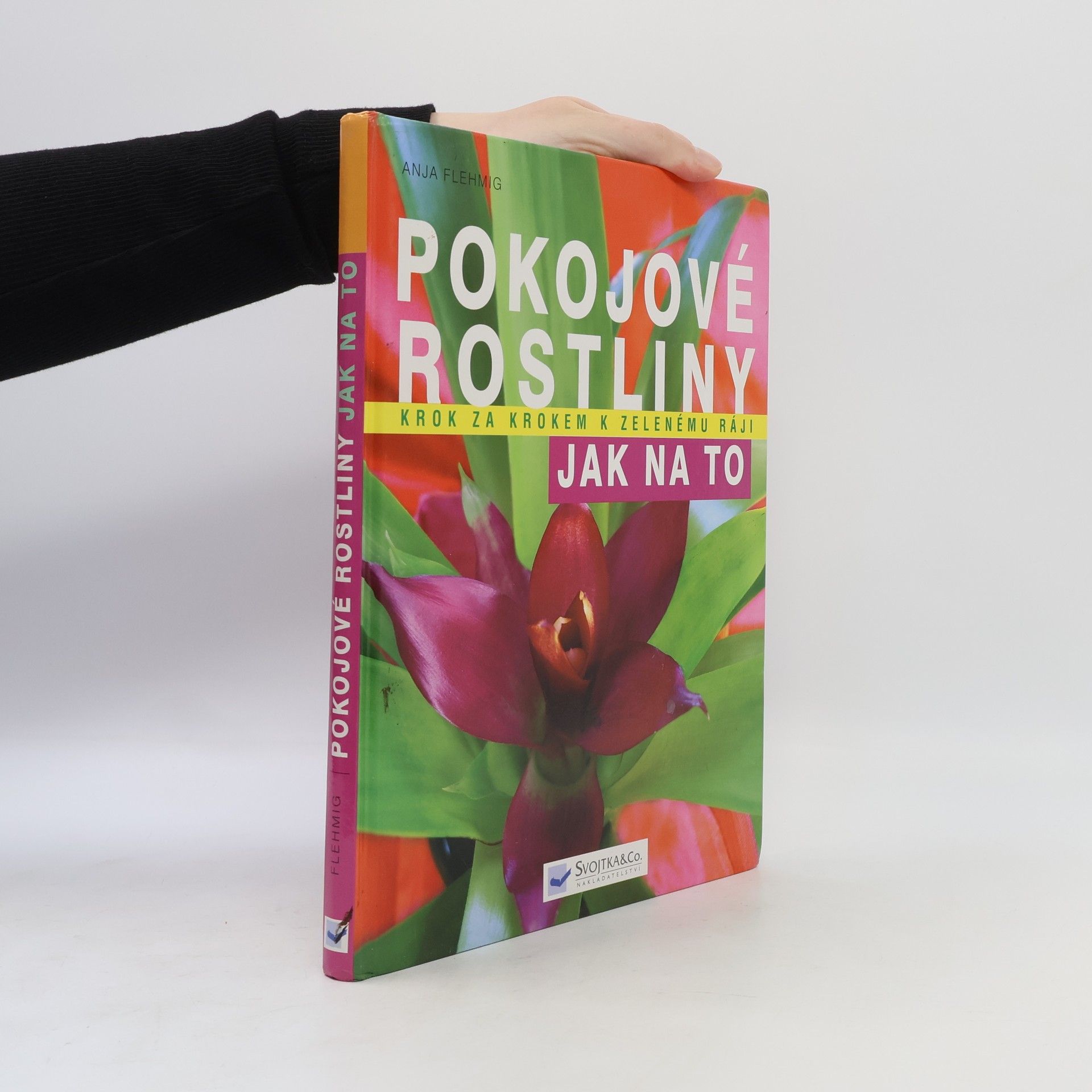 Anja Flehmig Pokojové rostliny: Krok za krokem k zelenému ráji
