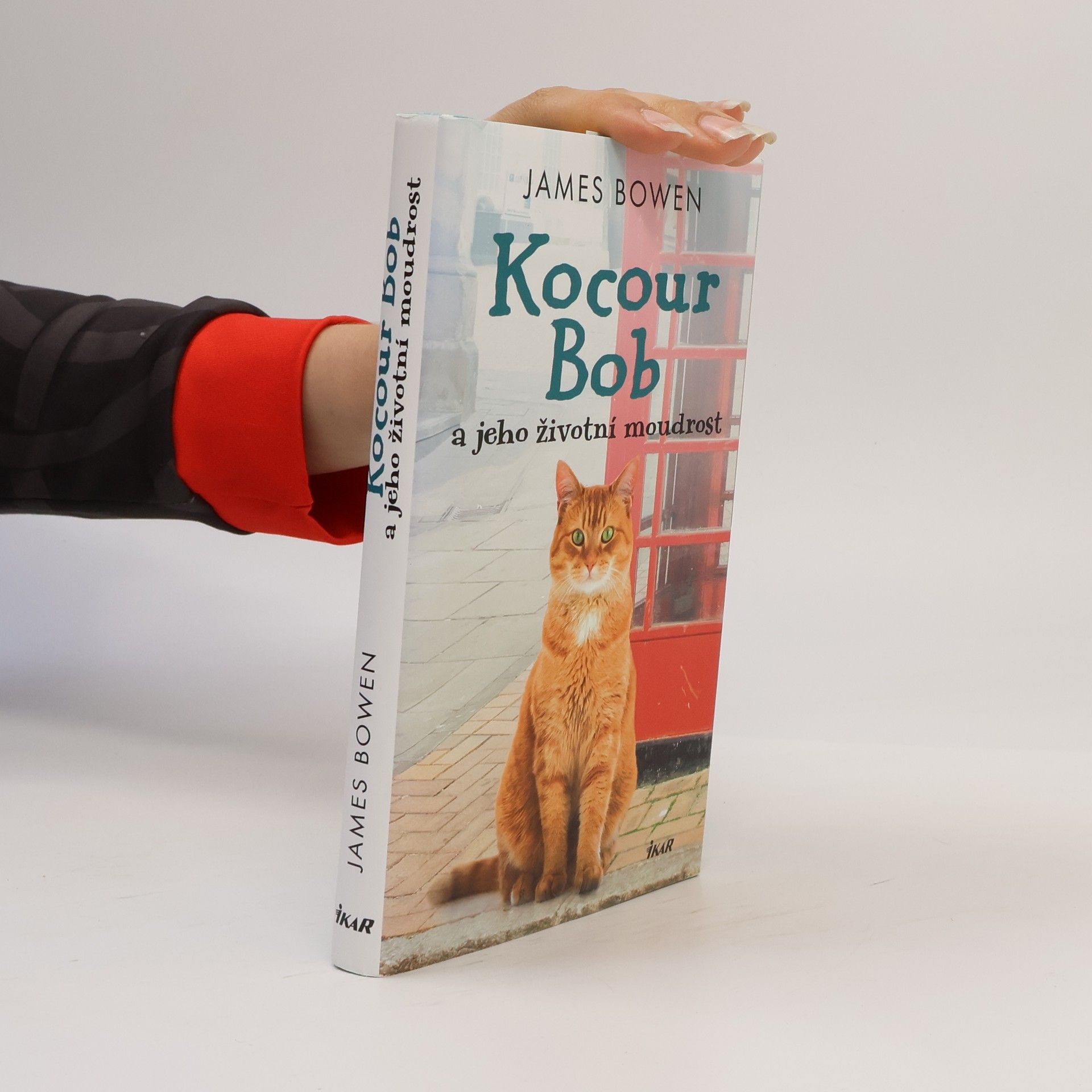 Kocour Bob a jeho životní moudrost