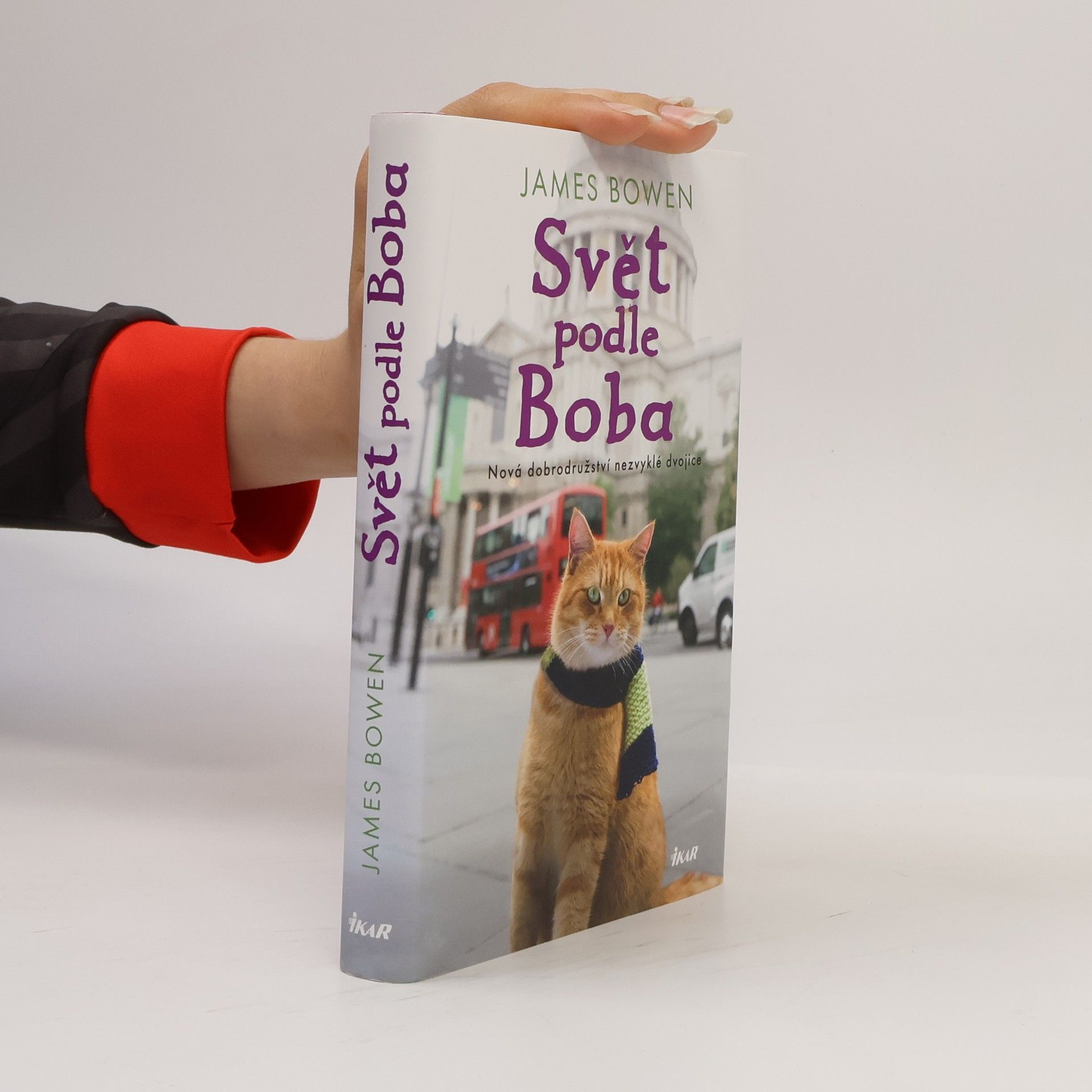 James Bowen Svět podle Boba