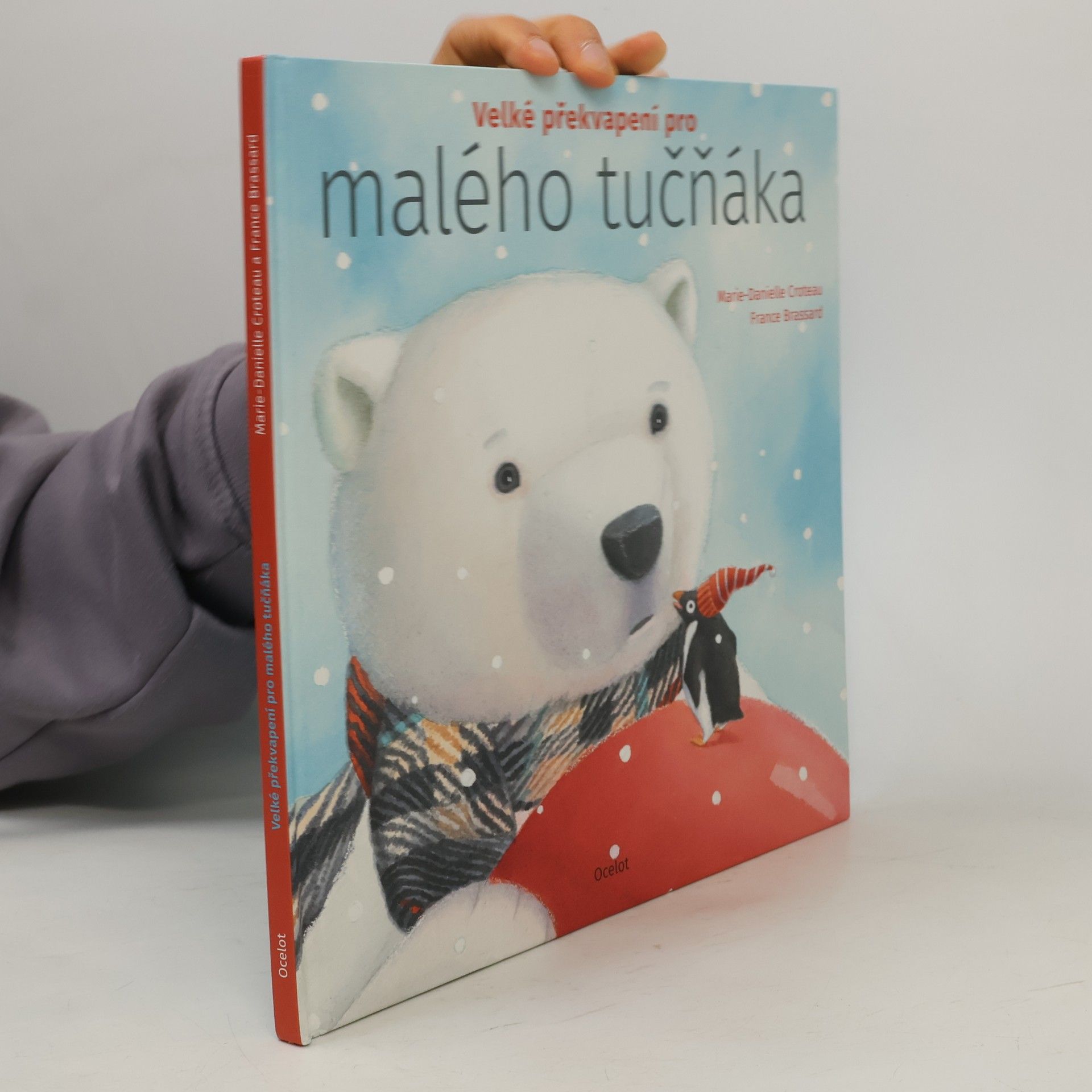 MarieDanielle Croteau Velké překvapení pro malého tučňáka