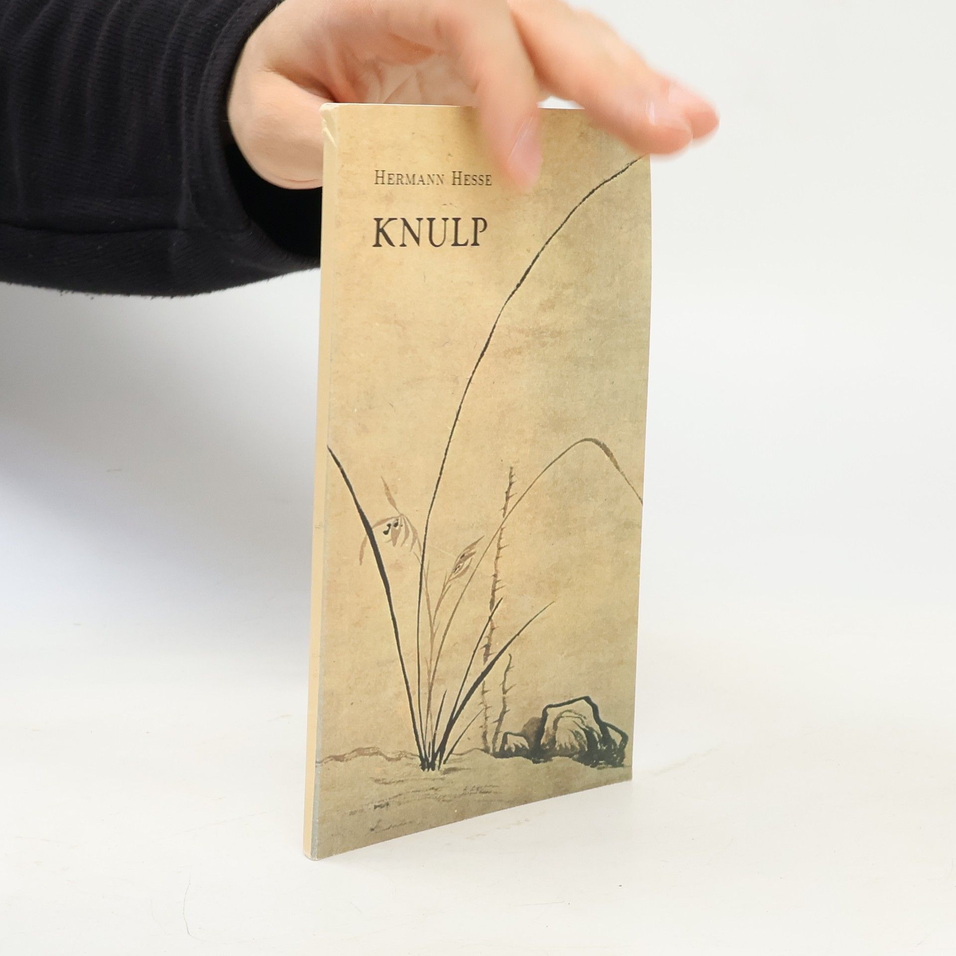 Hermann Hesse Knulp