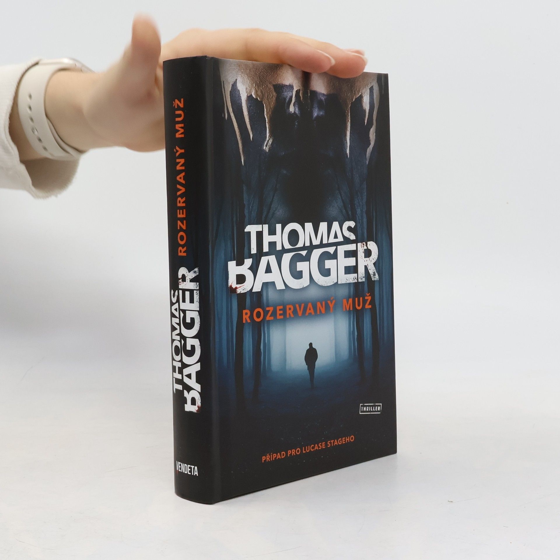 Thomas Bagger Rozervaný muž