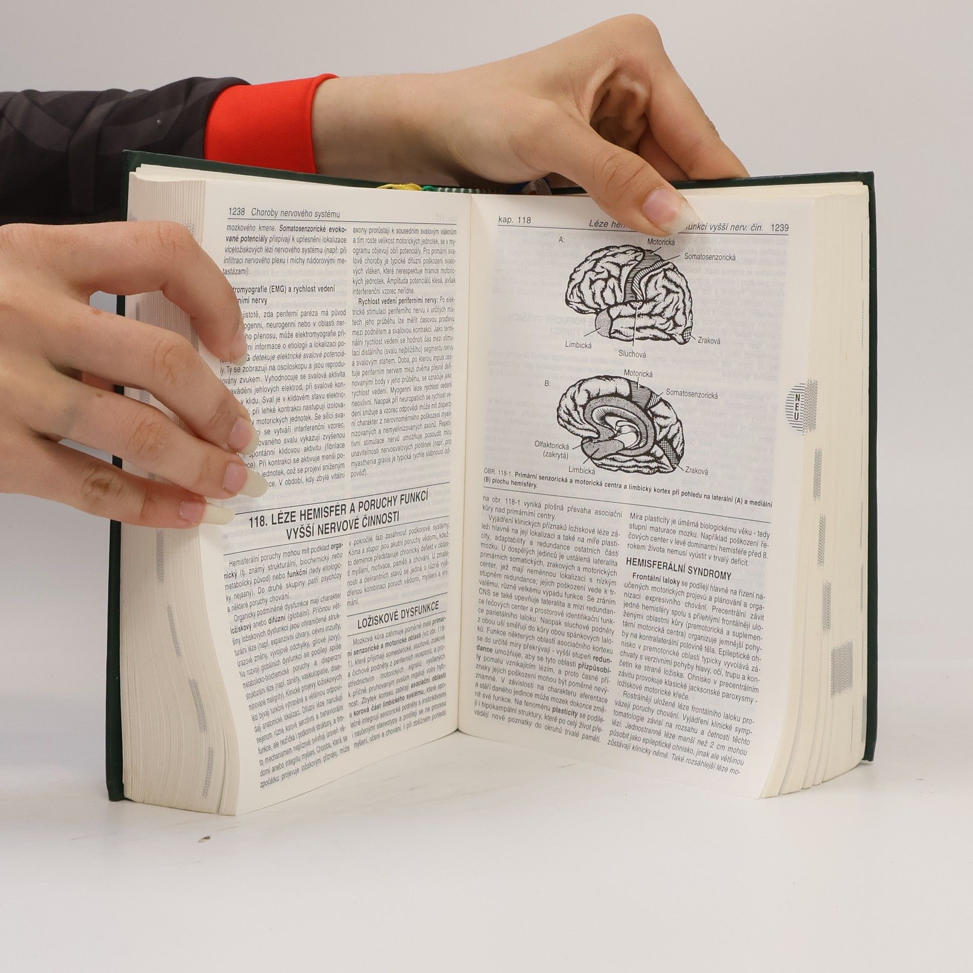 Various authors MSD. Kompendium klinické medicíny