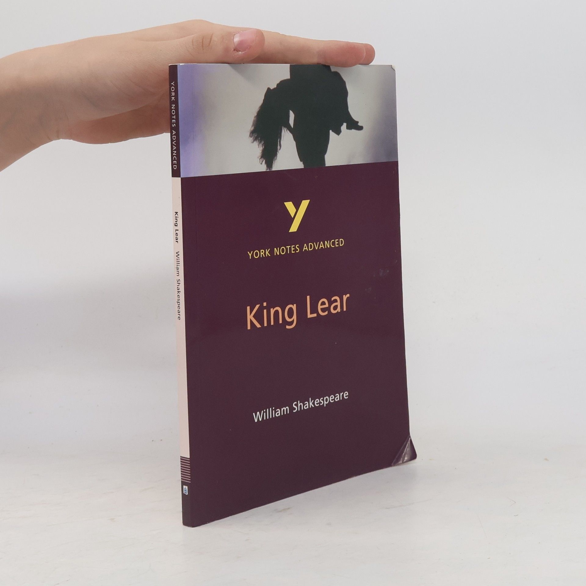 Rebecca Warren York Notes Advanced on King Lear by William Shakespeare