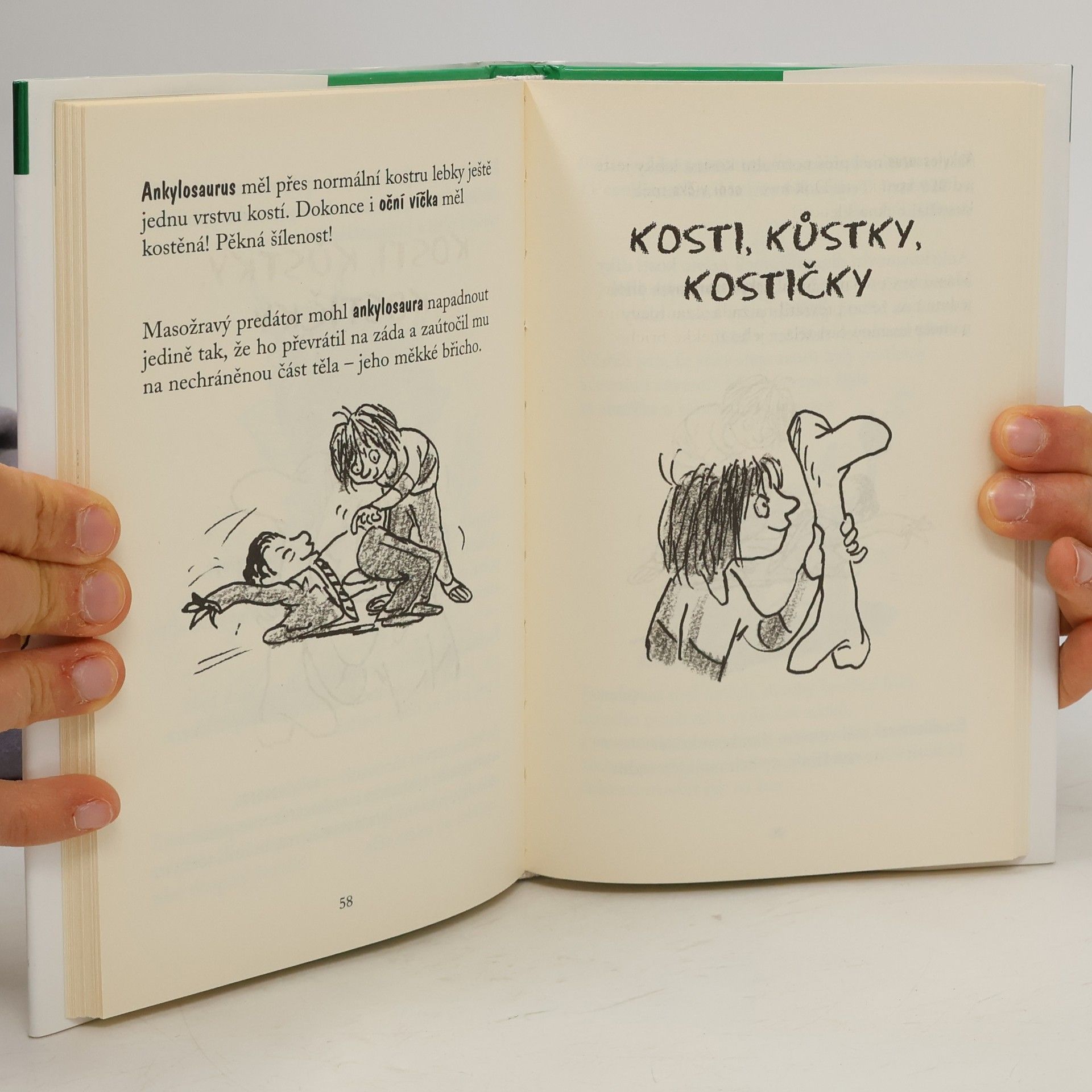 Francesca Simon Darebák David a dinosauři