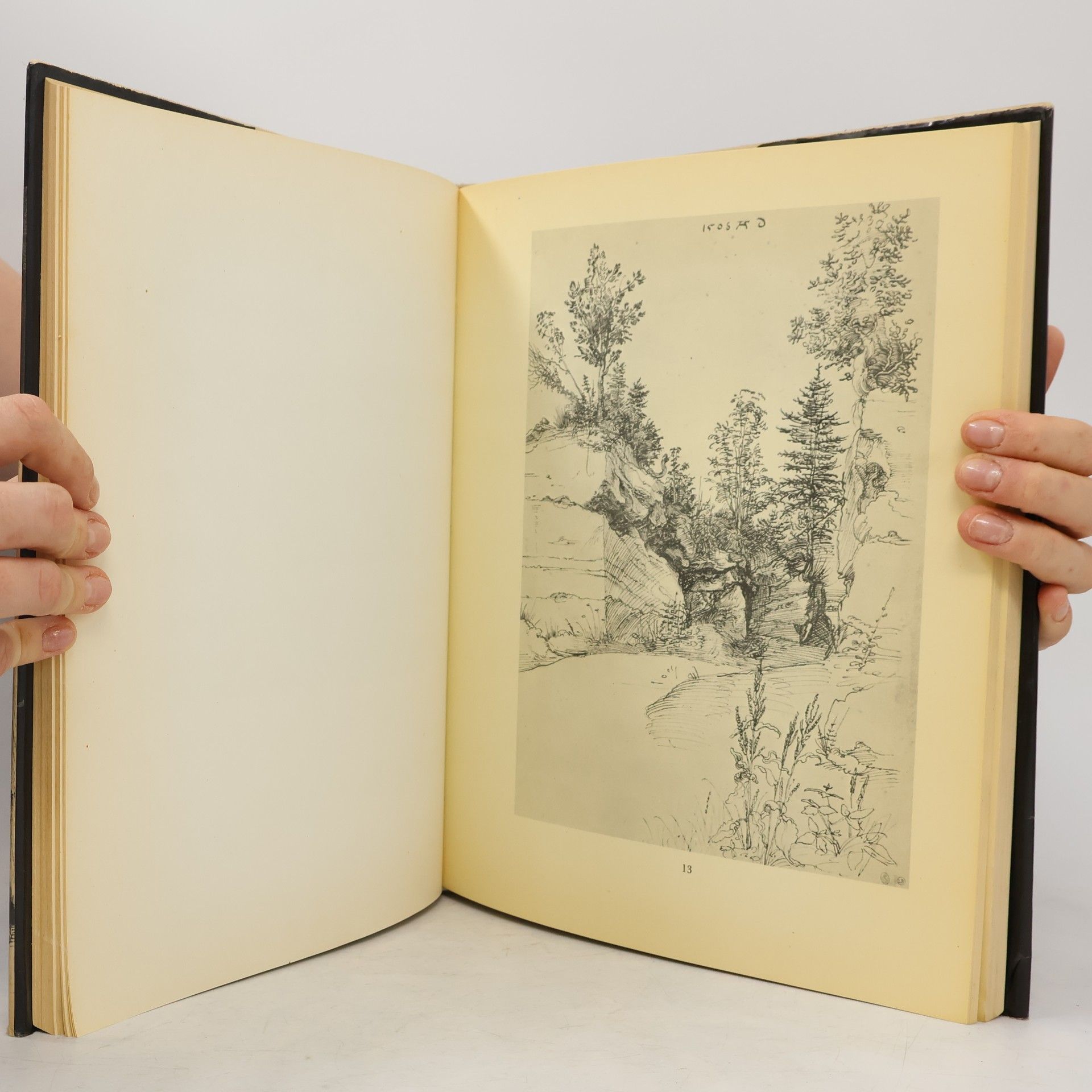 Albrecht Dürer Albrecht Dürer. Kresby