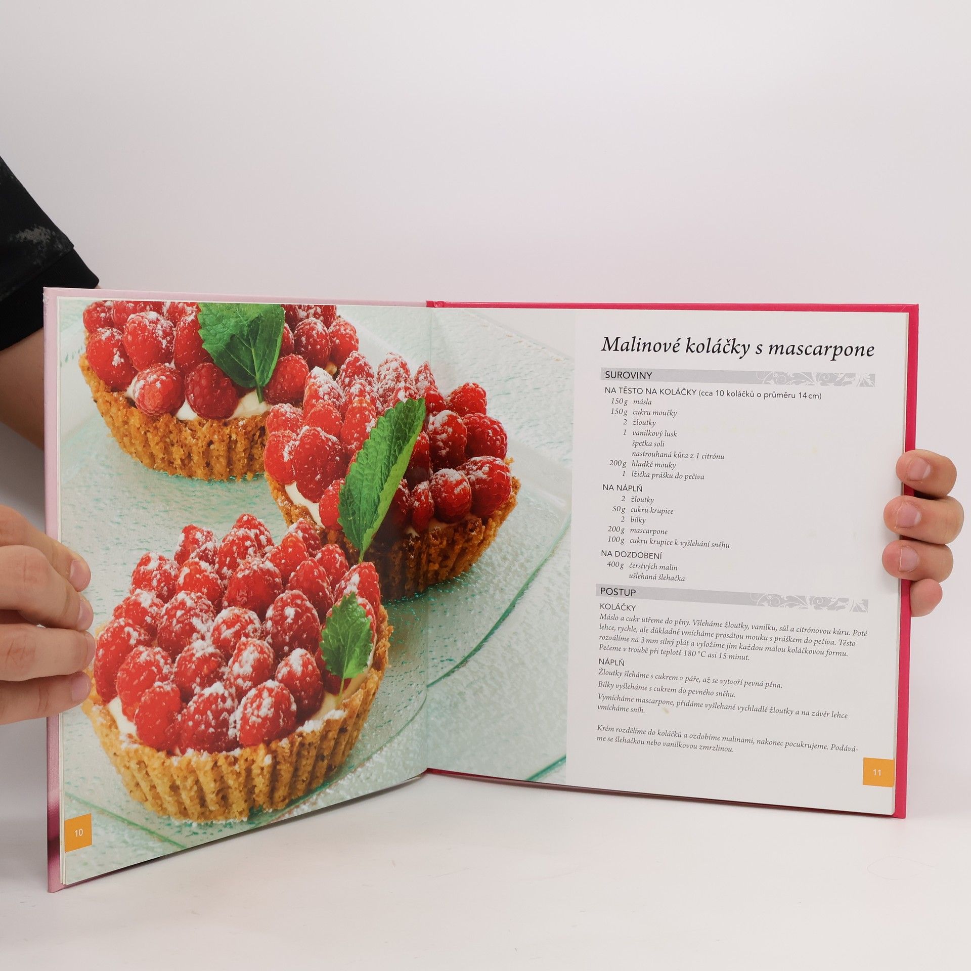 Mirka van Gils Slavíková Cheesecakes