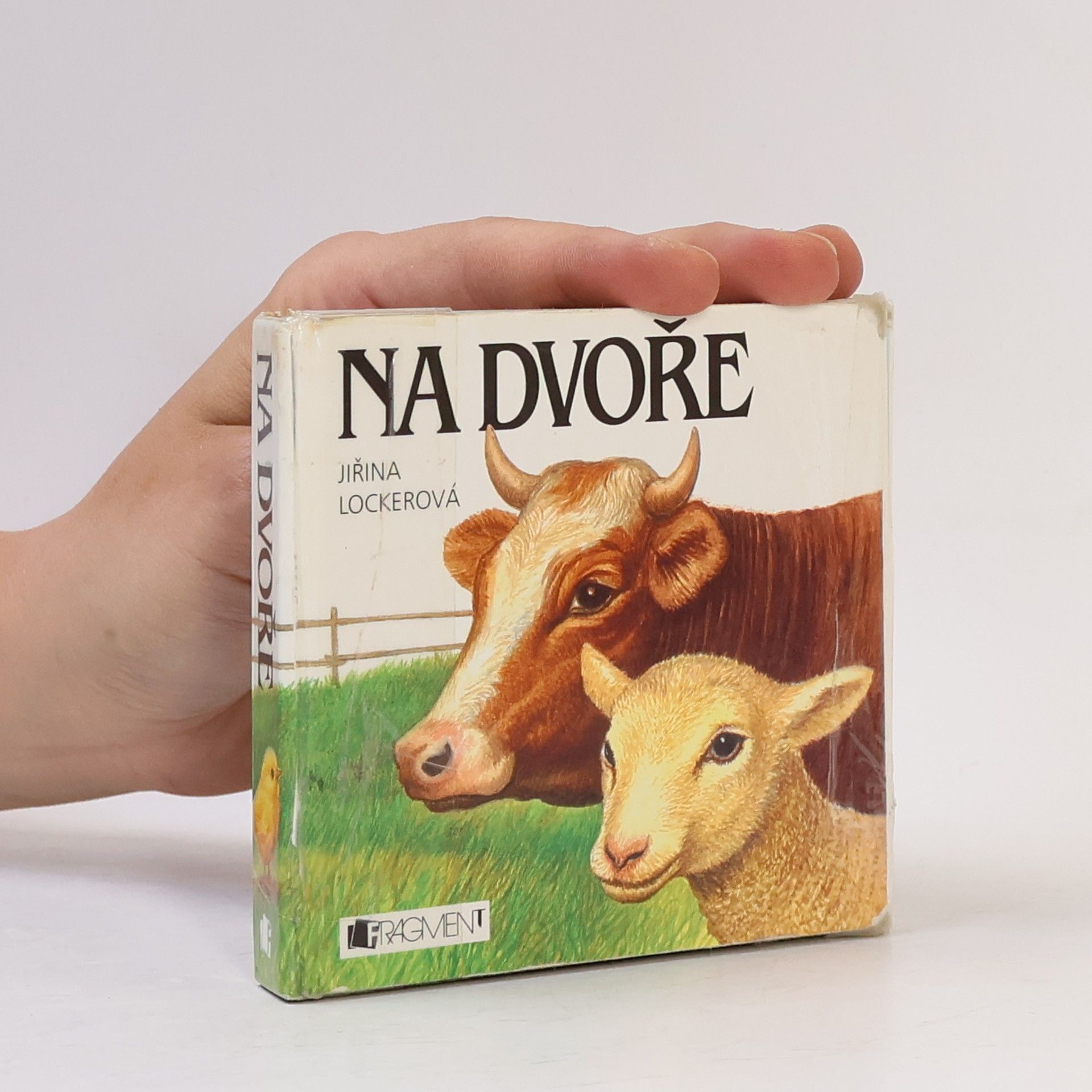 Jiřina Lockerová Na dvoře