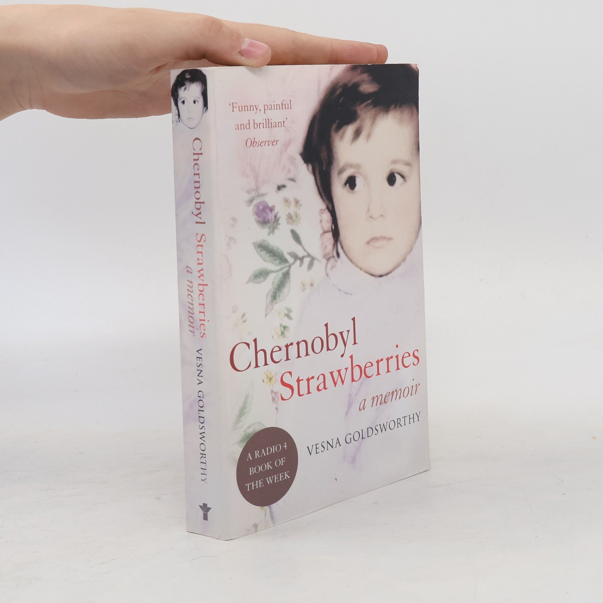 Vesna Goldsworthy Chernobyl Strawberries