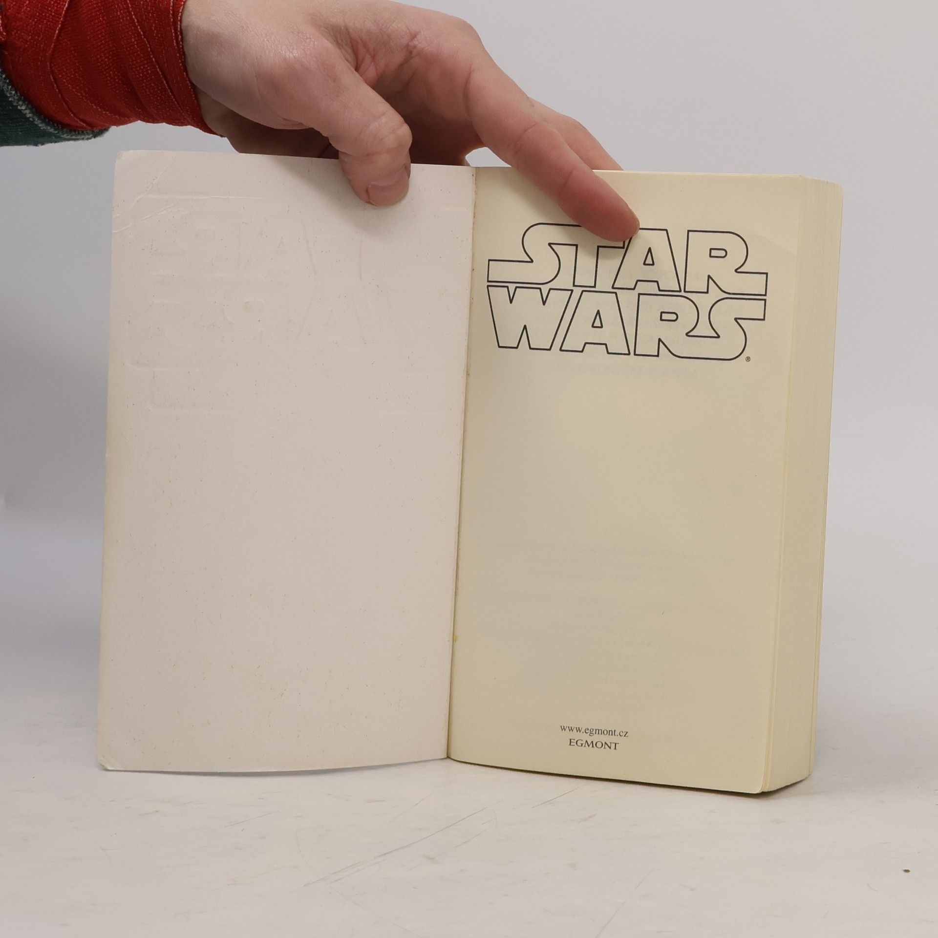 Timothy Zahn Star Wars, Mezigalaktická výprava