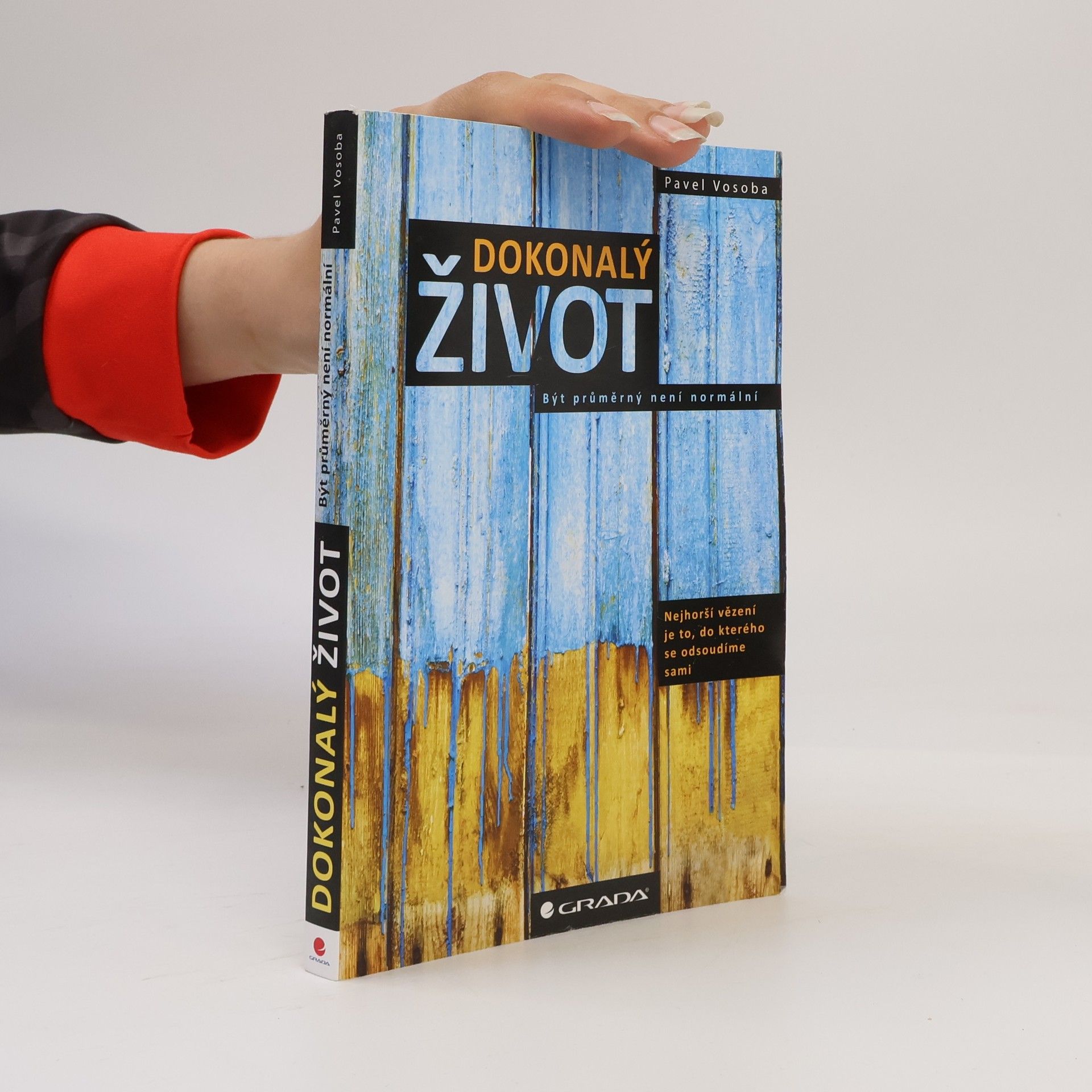 Pavel Vosoba Dokonalý život : být průměrný není normální