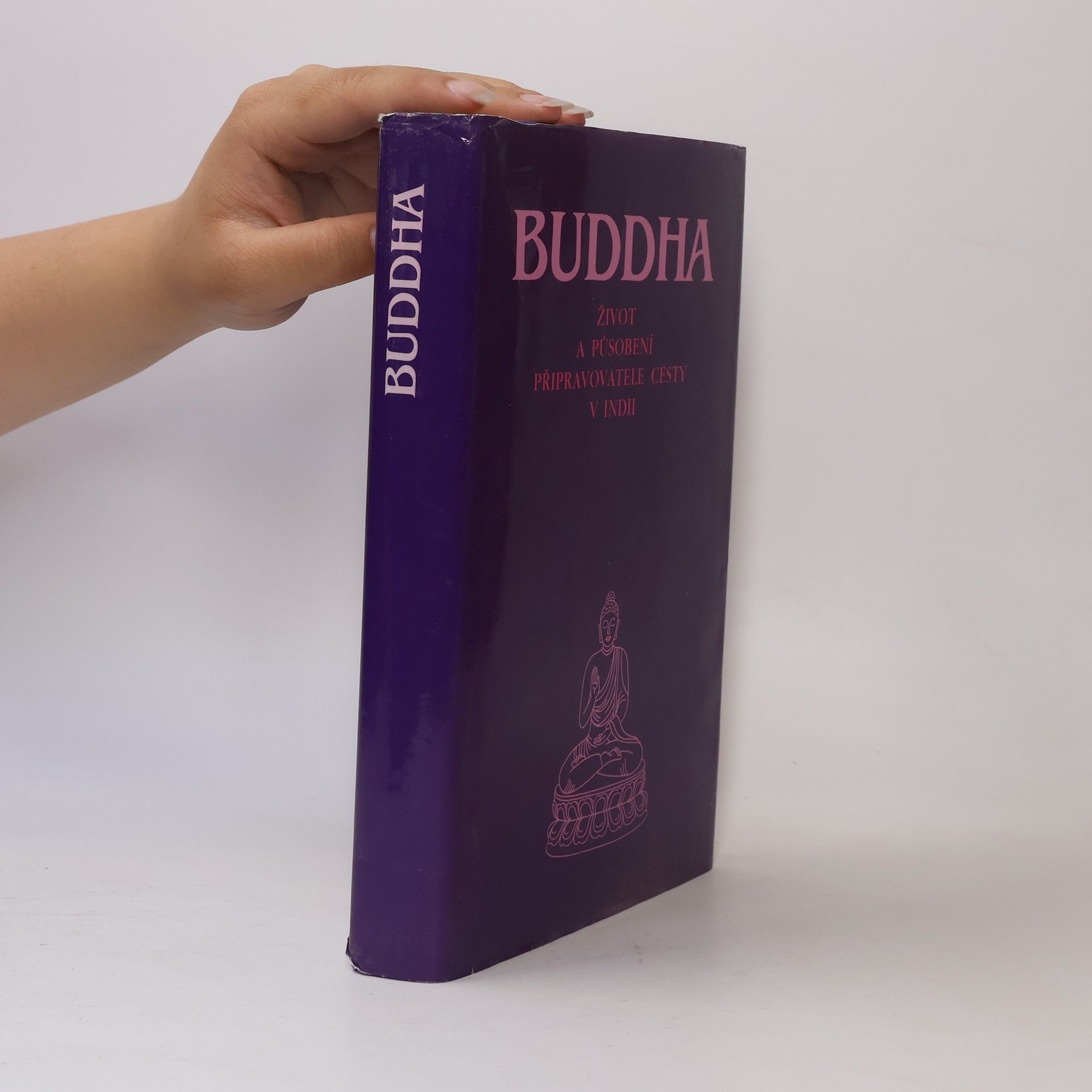 Collectif d'auteurs Buddha : život a působení připravovatele cesty v Indii
