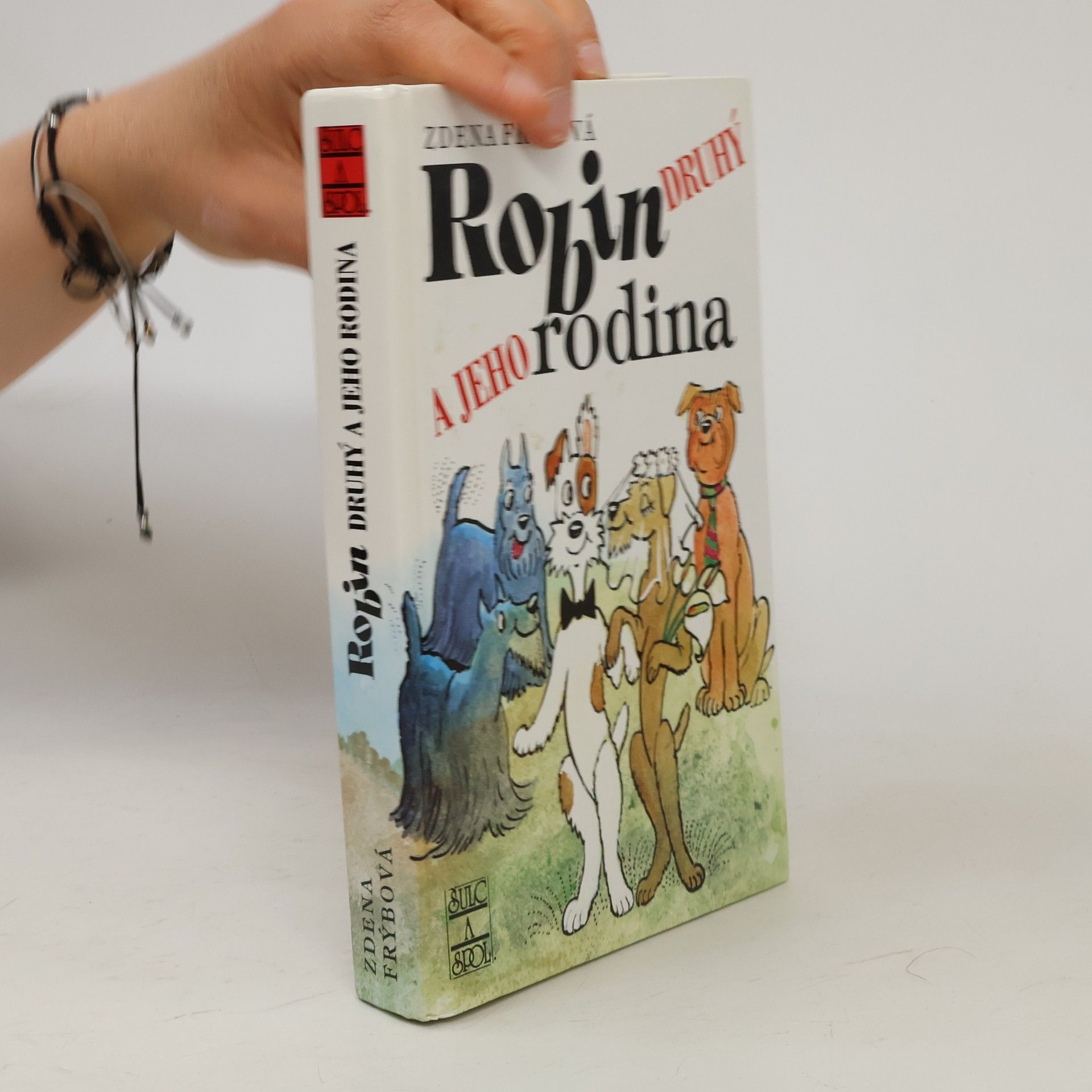 Zdena Frýbová Robin Druhý a jeho rodina