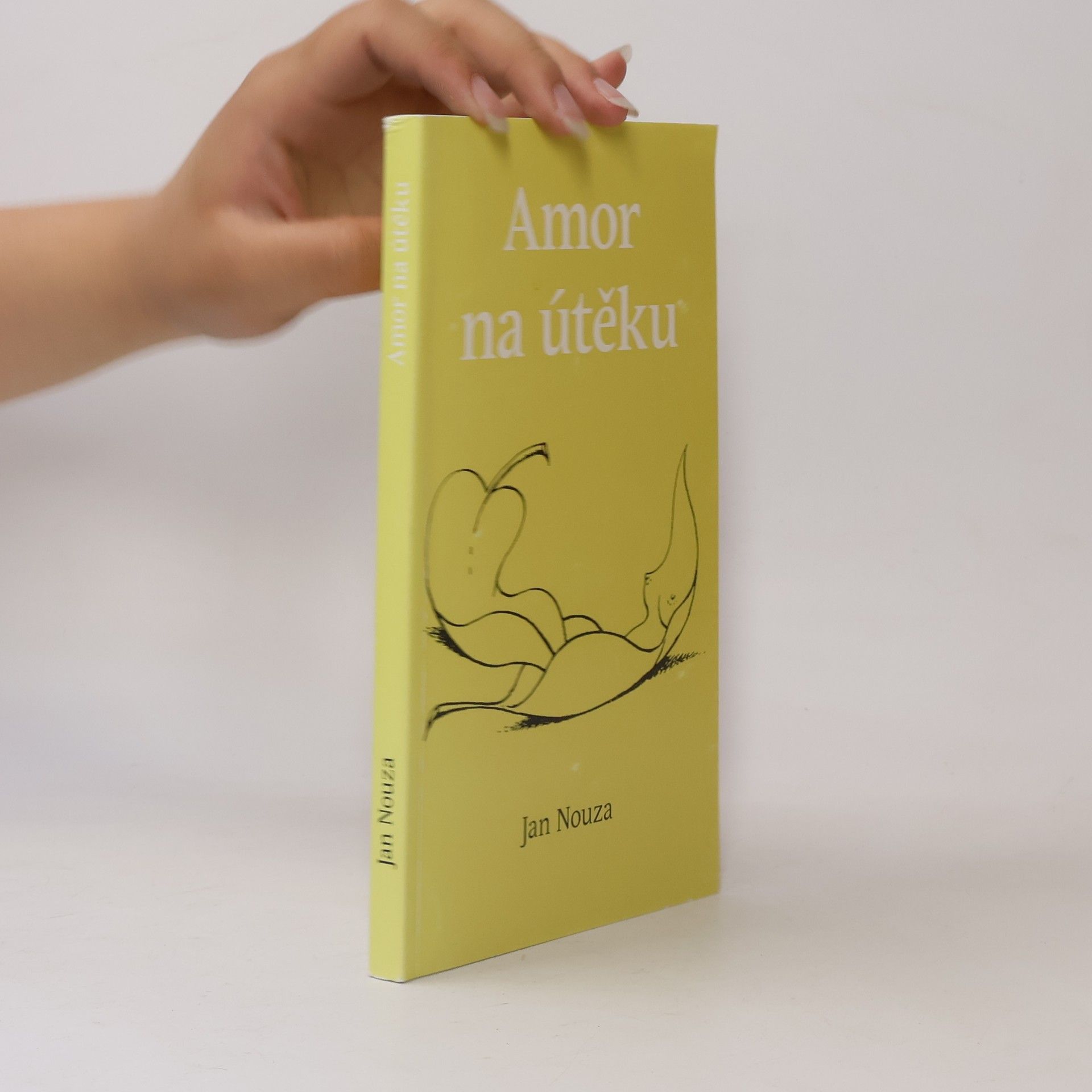 Amor na útěku