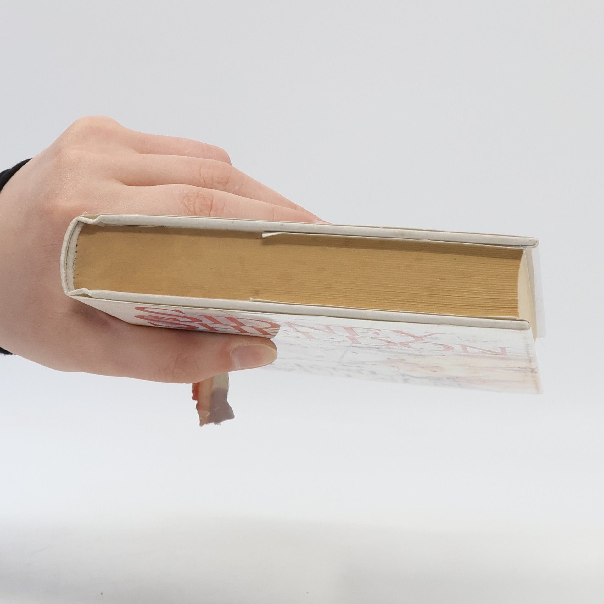 Sidney Sheldon Řekni mi svůj sen