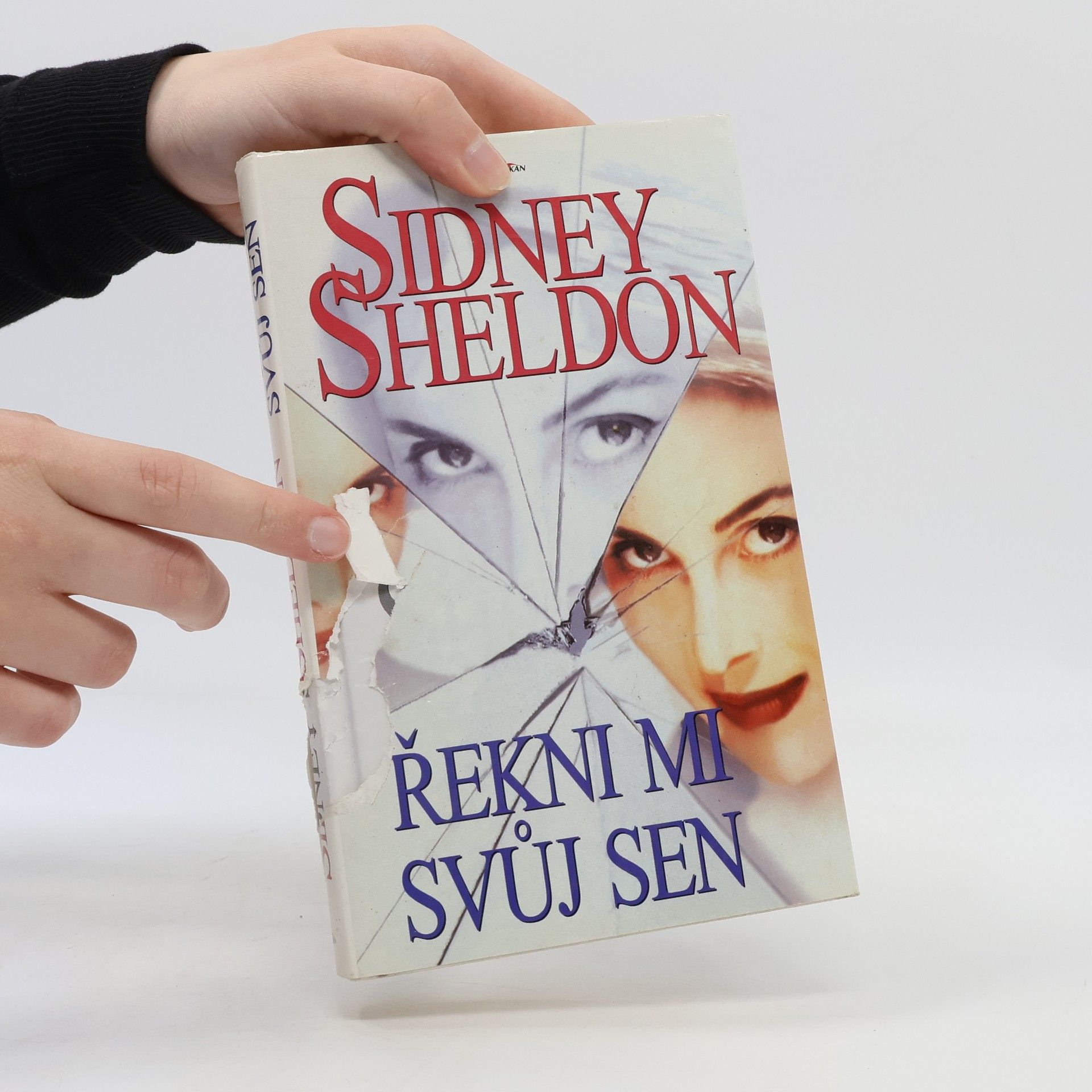 Sidney Sheldon Řekni mi svůj sen