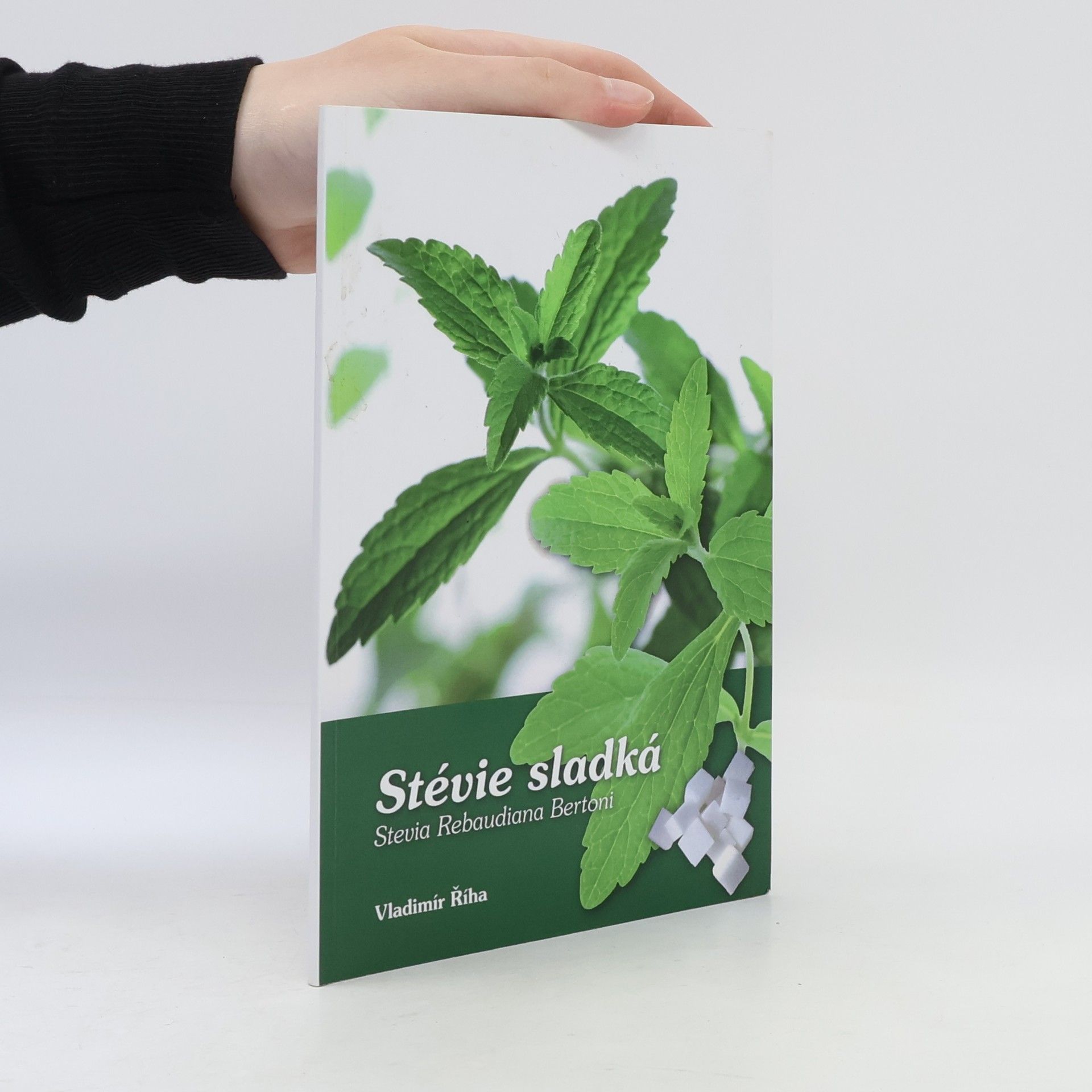 Stévie sladká