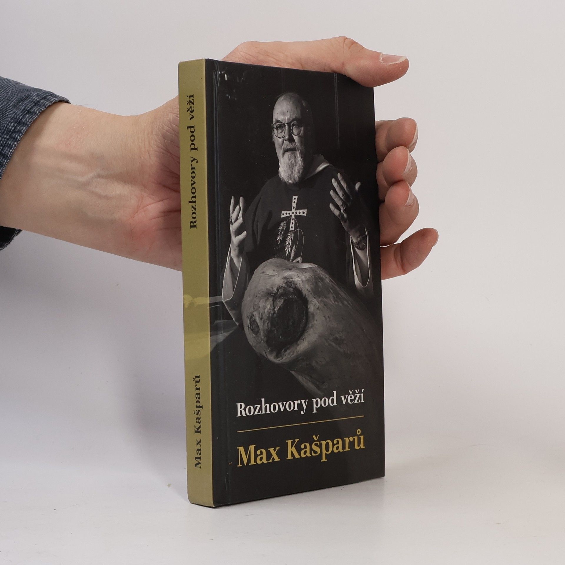Max Kašparů Rozhovory pod věží
