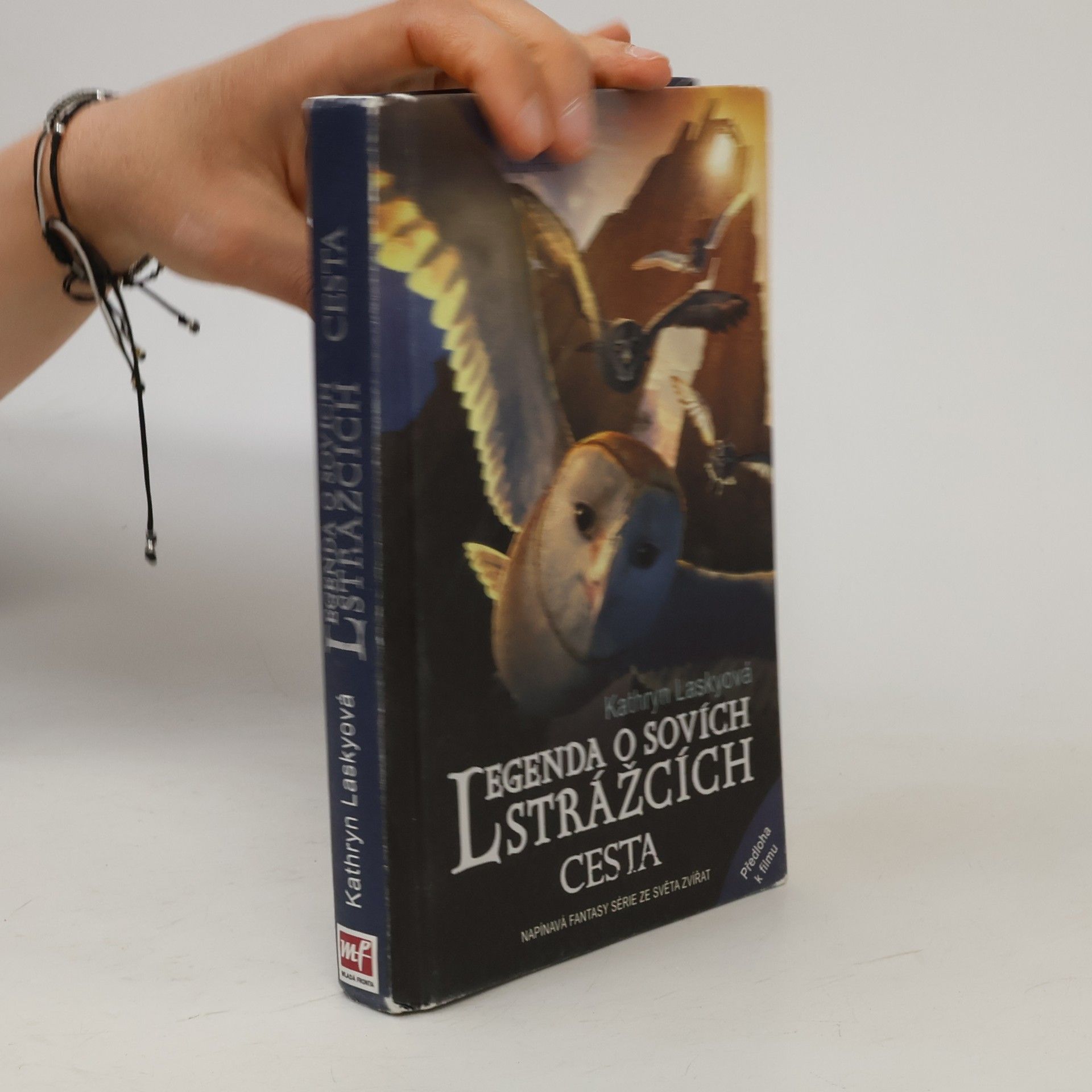 Kathryn Lasky Legenda o sovích strážcích. II., Cesta