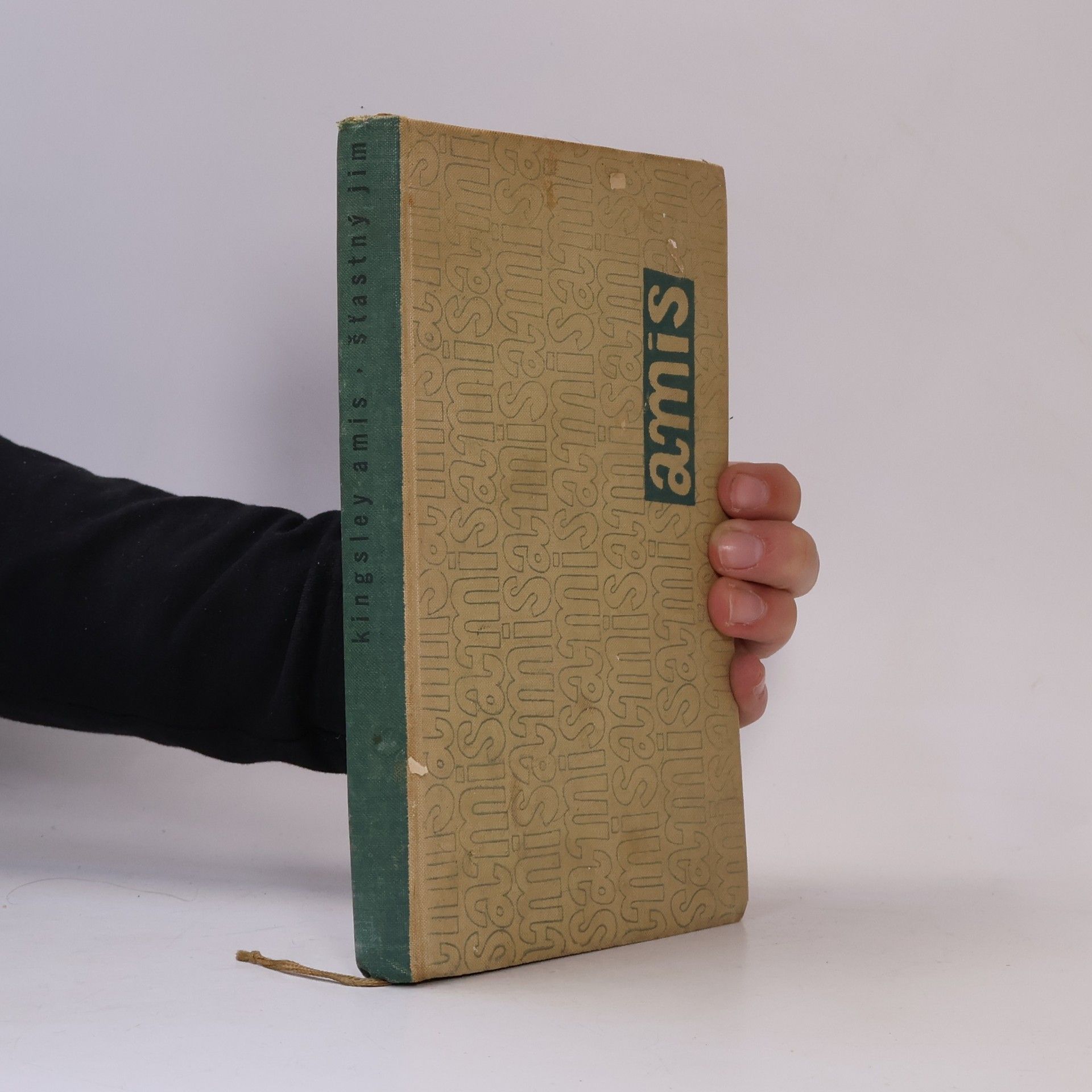 Kingsley Amis Šťastný Jim